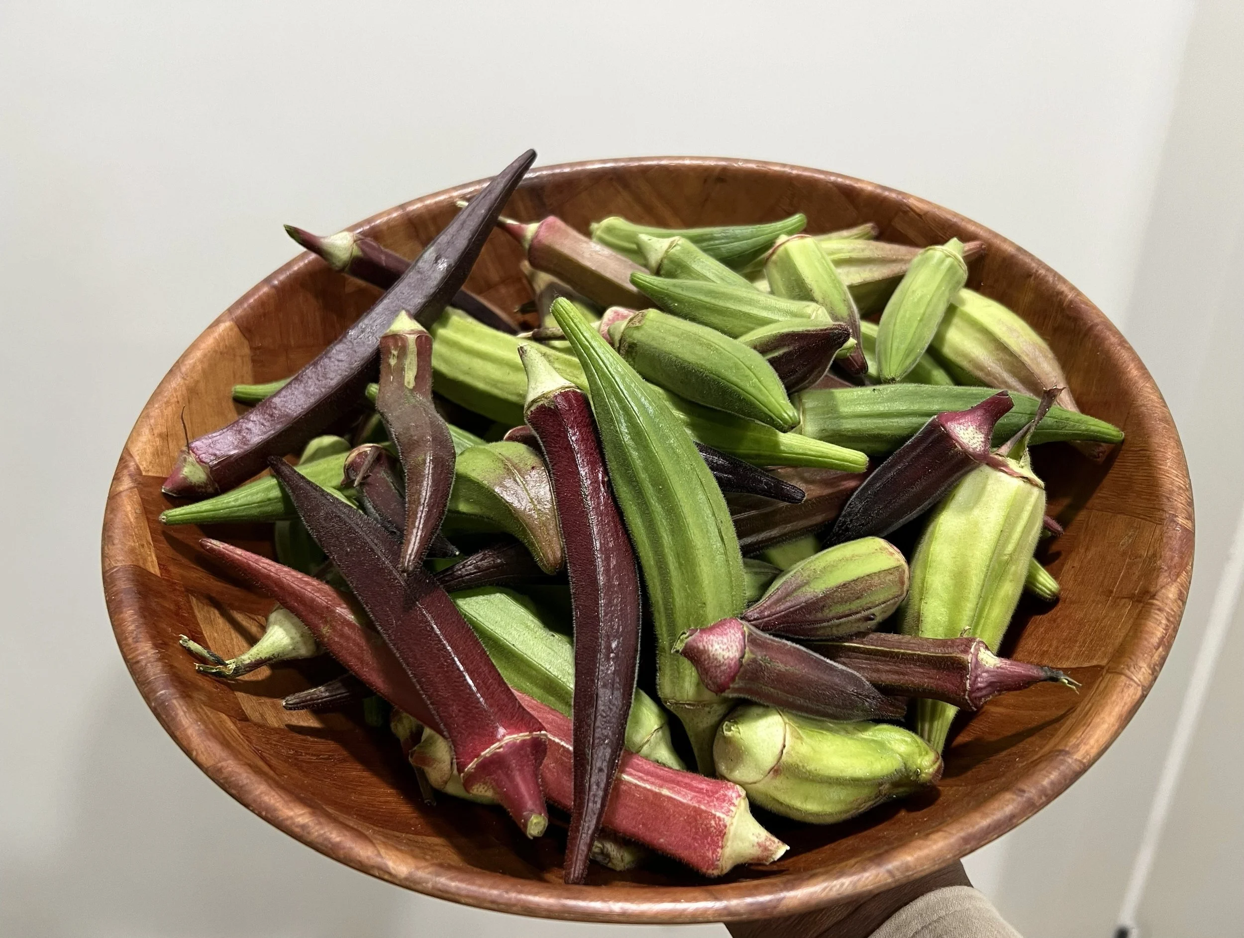 Okra.jpg
