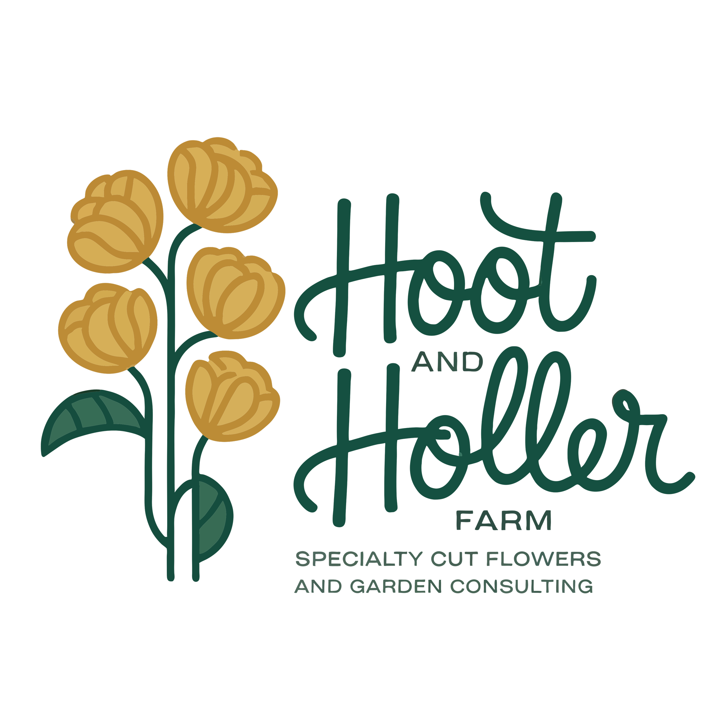 Logo for Hoot and Holler Farm featuring stylized yellow flowers, green leaves, and the business name in cursive font with additional text about specialty cut flowers and garden consulting.