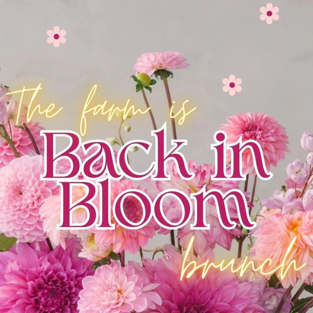 Back in Bloom Brunch Event (May 16th 10am-12pm)