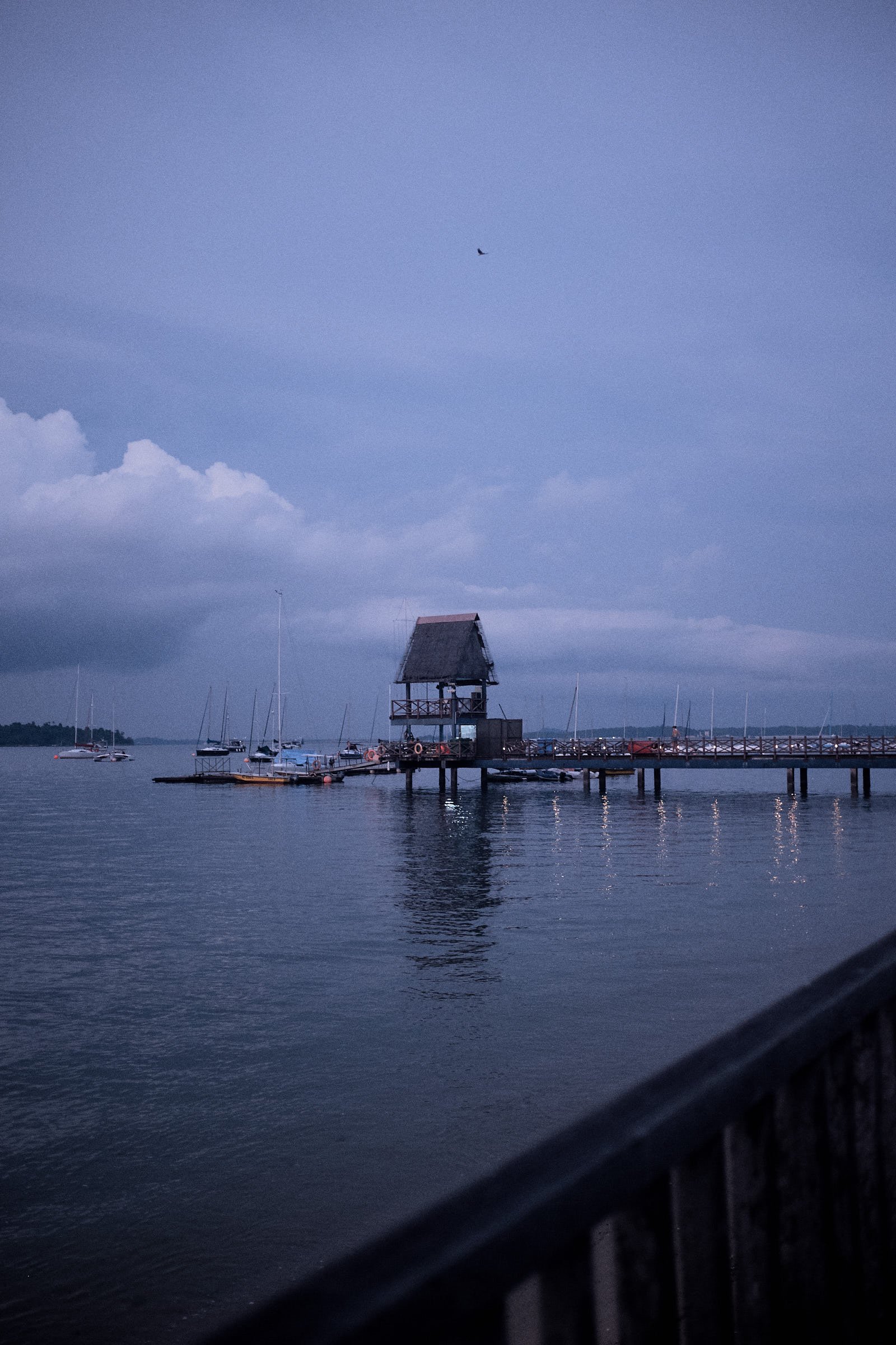 pier and sailing boats during blue hour