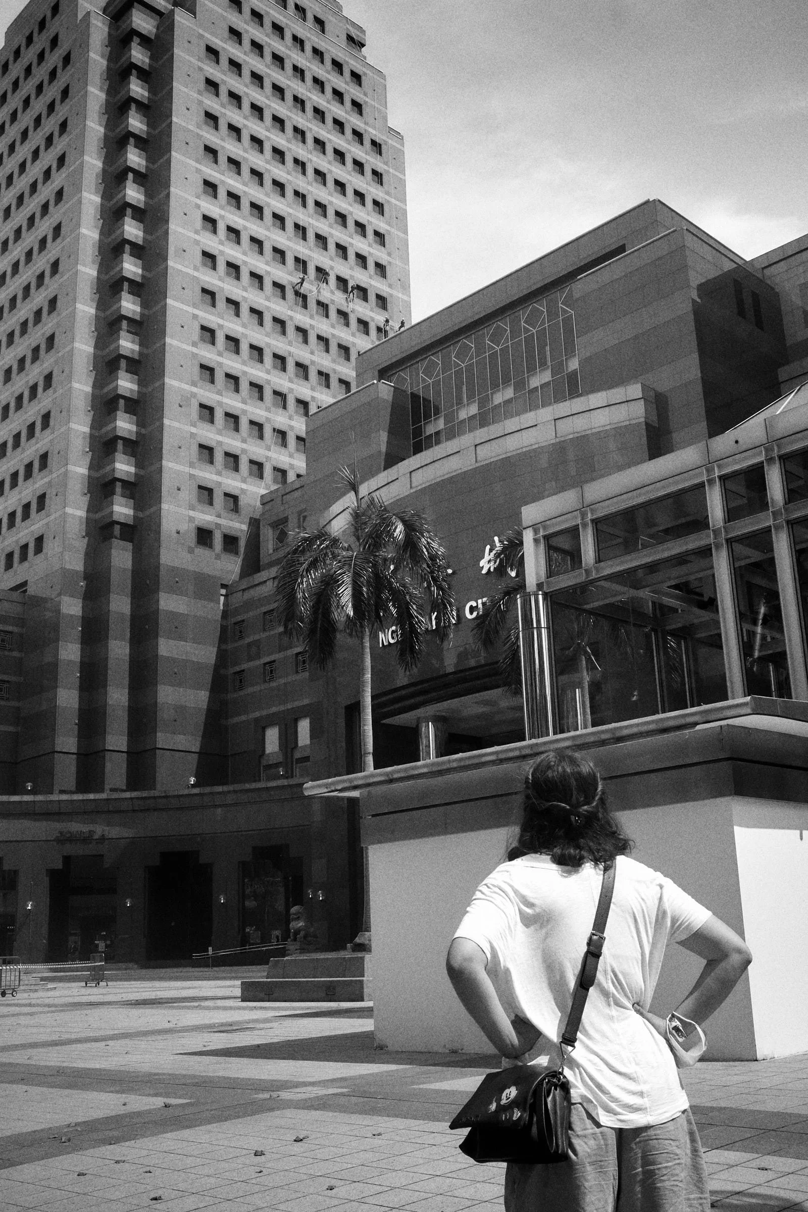 looking at window cleaners
