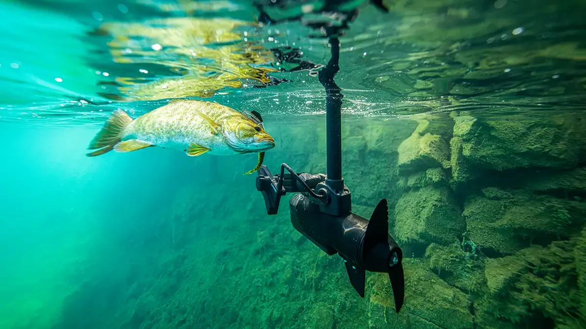 A fish in clear water near a boat motor on a rocky lake bottom.