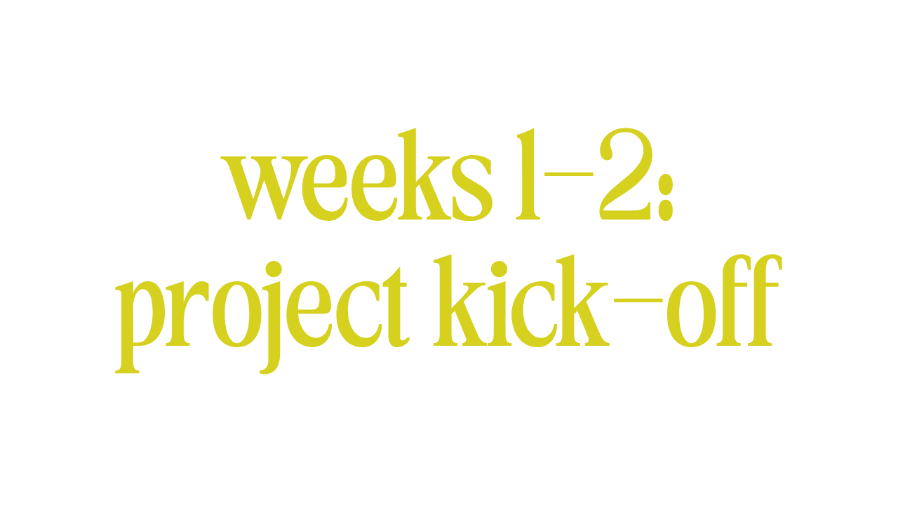 WEEKS 1-2: PROJECT KICK-OFF 
 
Kick-Off call to go over goals & direction of your project  
 
Our team develops your sitemap, website strategy, and designs your homepage & key elements wireframe.  
 
Presentation Call at end of week 2. 
 