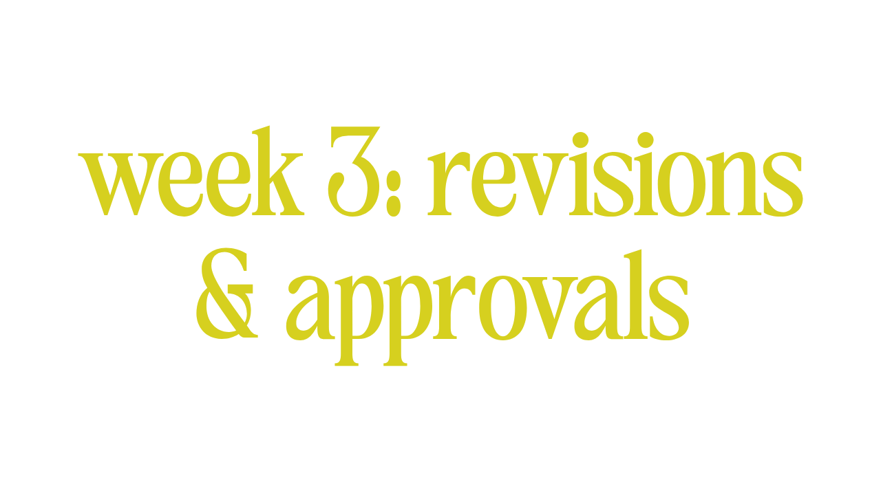 WEEK 3: REVISIONS & APPROVALS 
 
This your time to review our work and send in up to two rounds of revisions. Additional rounds of revision will increase the project time & cost of your project. 
 
