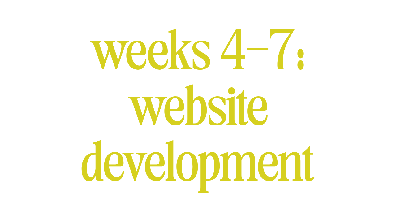 WEEKS 4-7: WEBSITE DEVELOPMENT 
 
Using the wireframe we develop the agreed upon pages of your website.*  
 
This is when we will handle the mobile optimization and basic SEO of your site.
 
 
*for collection pages such as blogs we will style one and