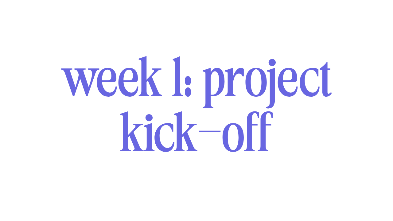 WEEK 1: PROJECT KICK-OFF 
 
We review your Discovery & Strategy Questionnaire & schedule Kick-Off call to go over goals & direction of your project.  