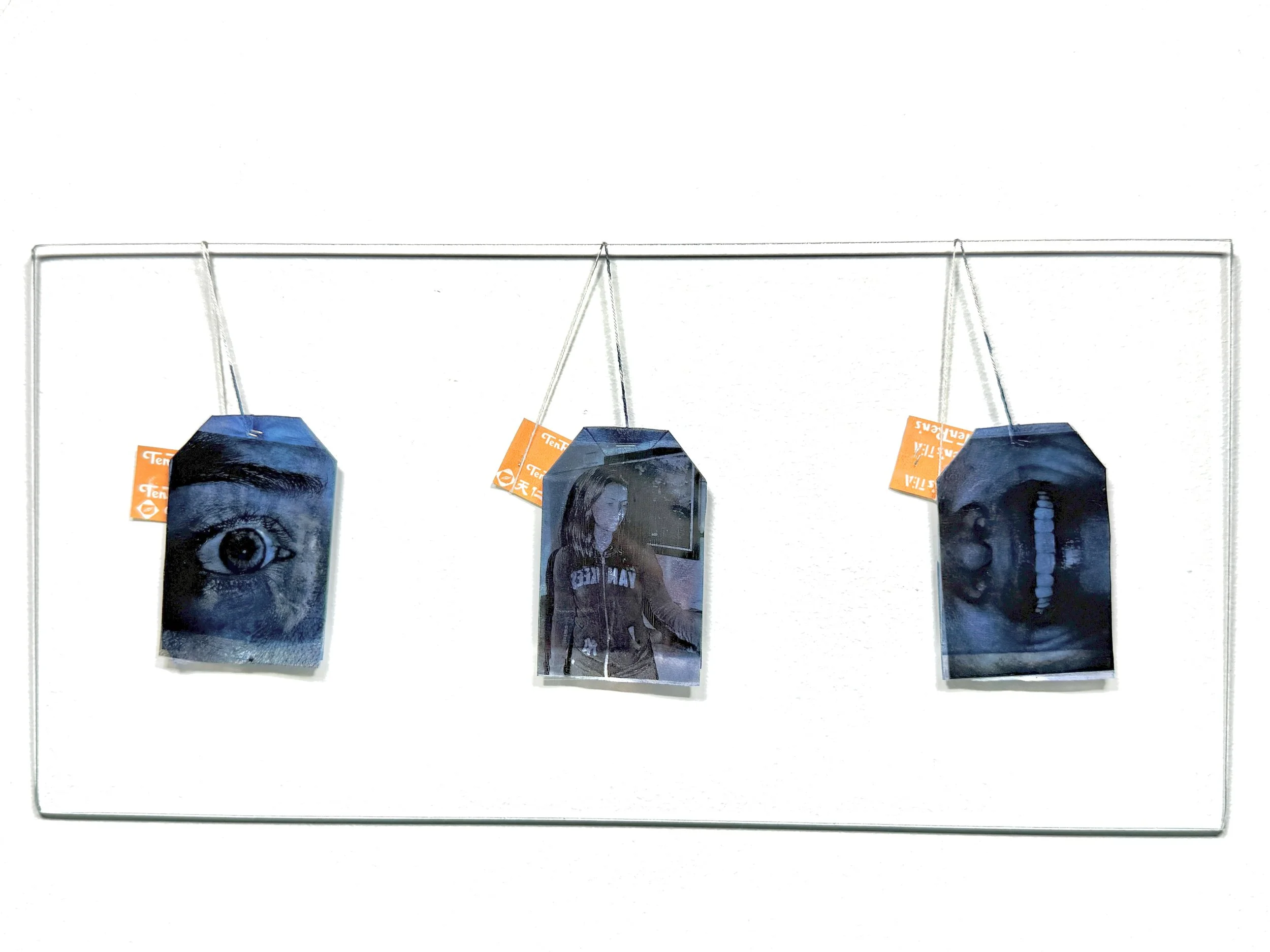 "Steeped" 
6.5 x 13 in.     
Tea bags, cyanotype 