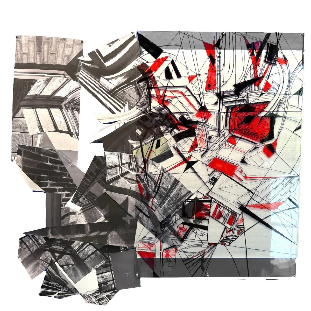 "Anna"
36 x 48 in.     
Plexiglass, marker, Photoshop, collage   