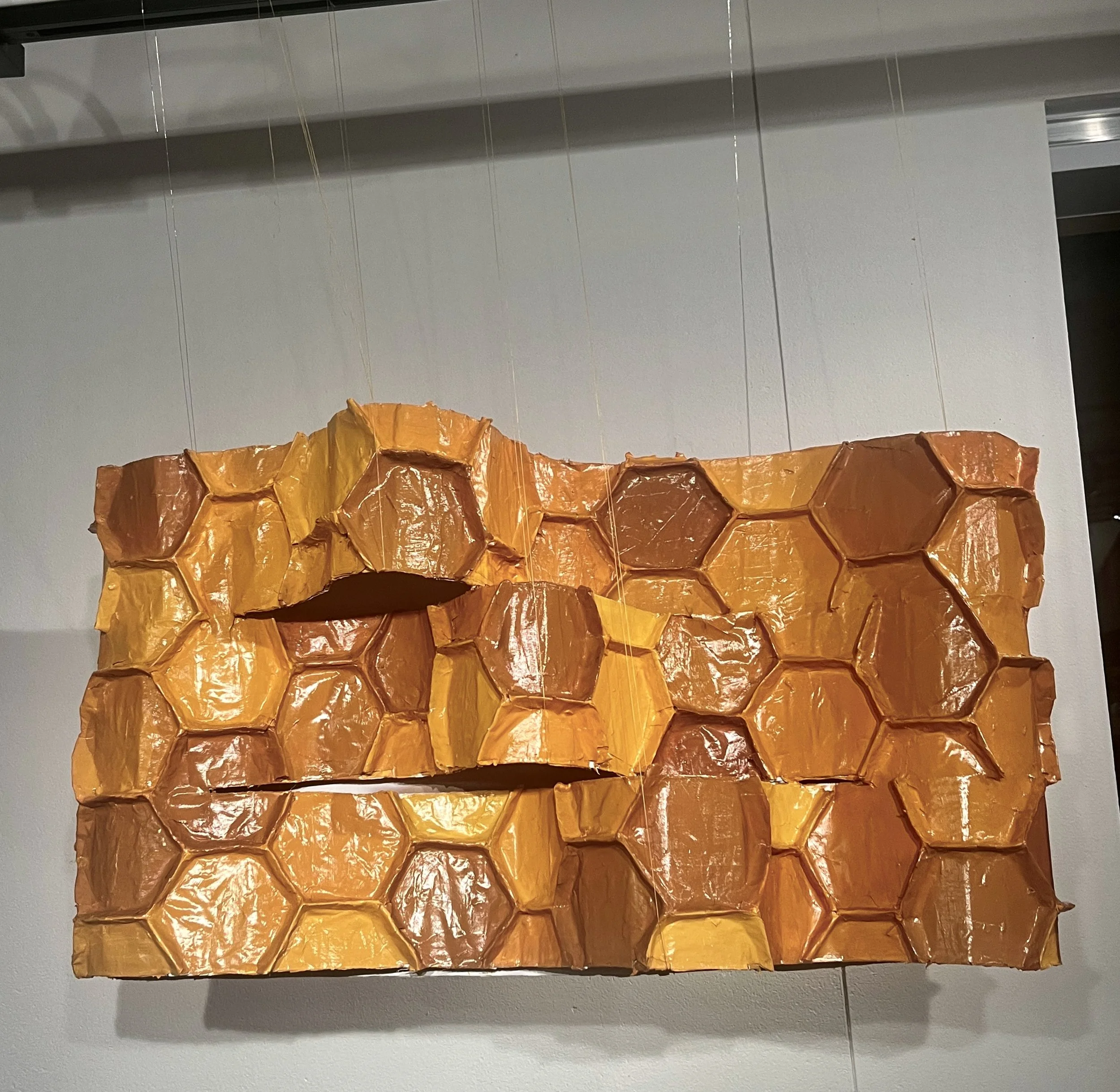 "Favus"
28 x 50 in.     
Cardboard sculpture, acrylic, spray paint