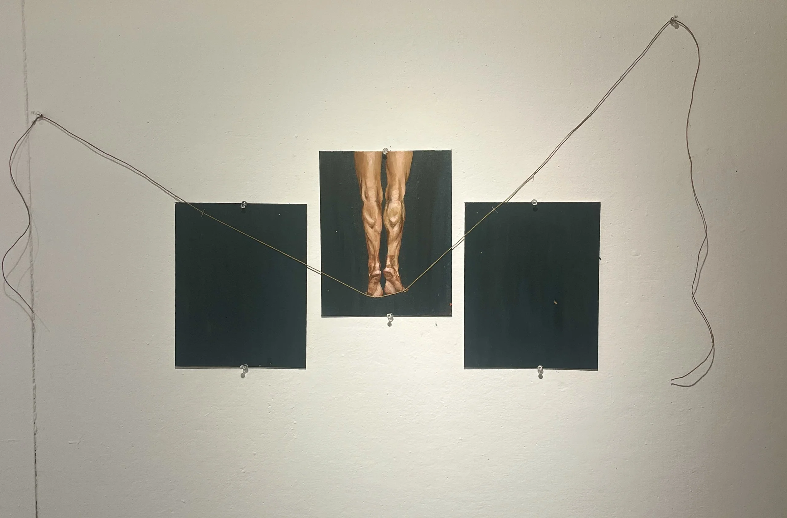 "Relevé"
24 x 47 in.
Acrylic on canvas, twine installation (triptych)

