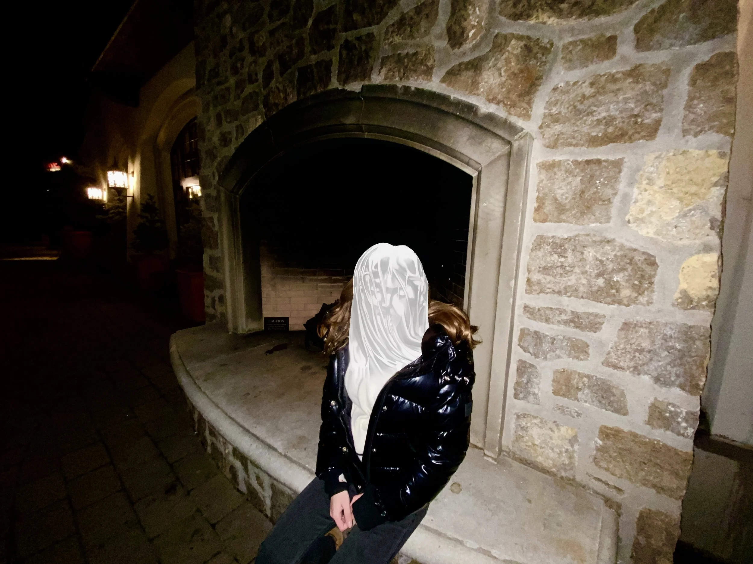 "COVID Mask"
32 x 48 in.    
Photography, Procreate 