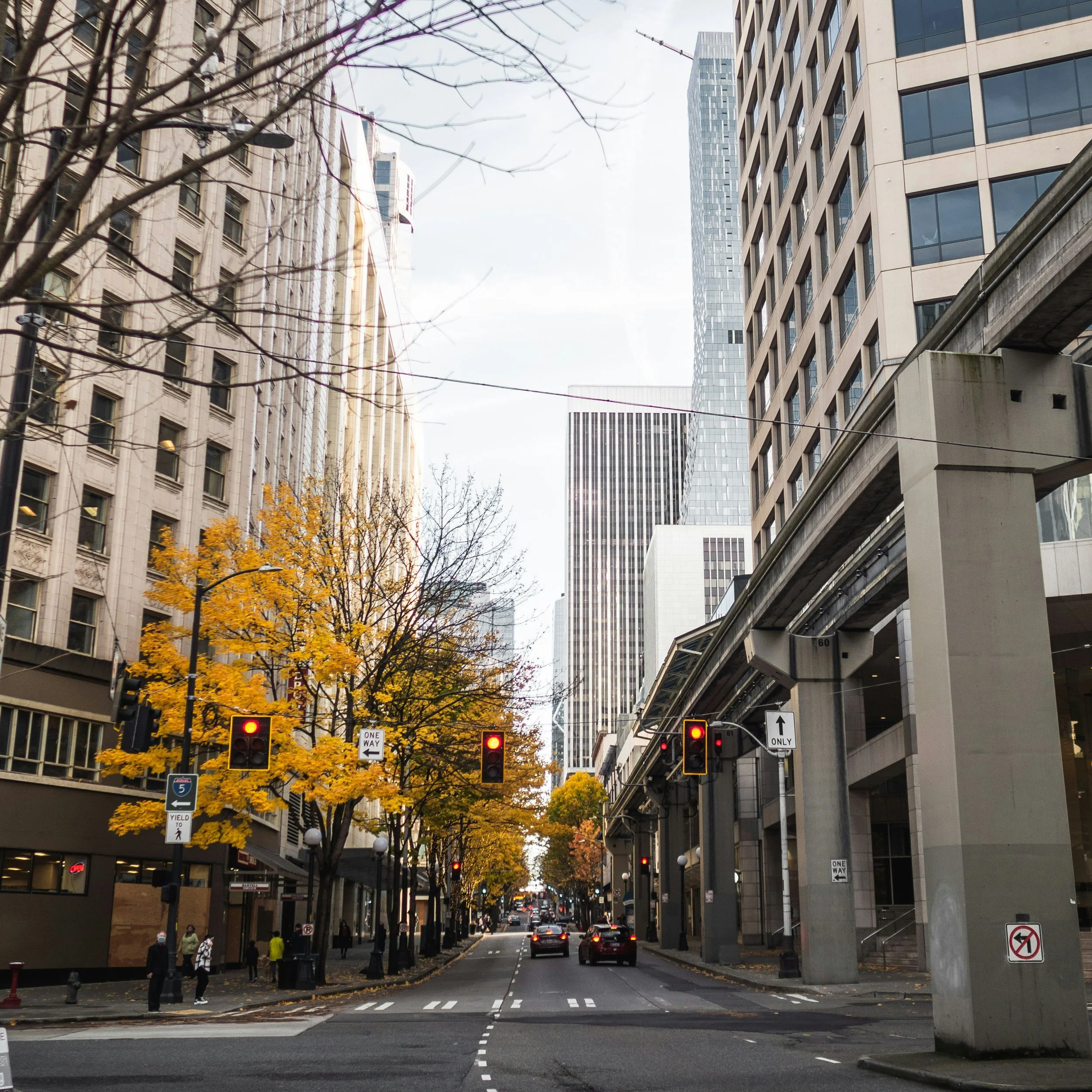 City street with tall buildings, yellow autumn trees, cars, pedestrians, and traffic lights with red signals.