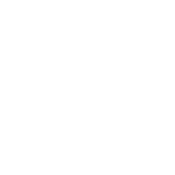 Calendar icon with a star
