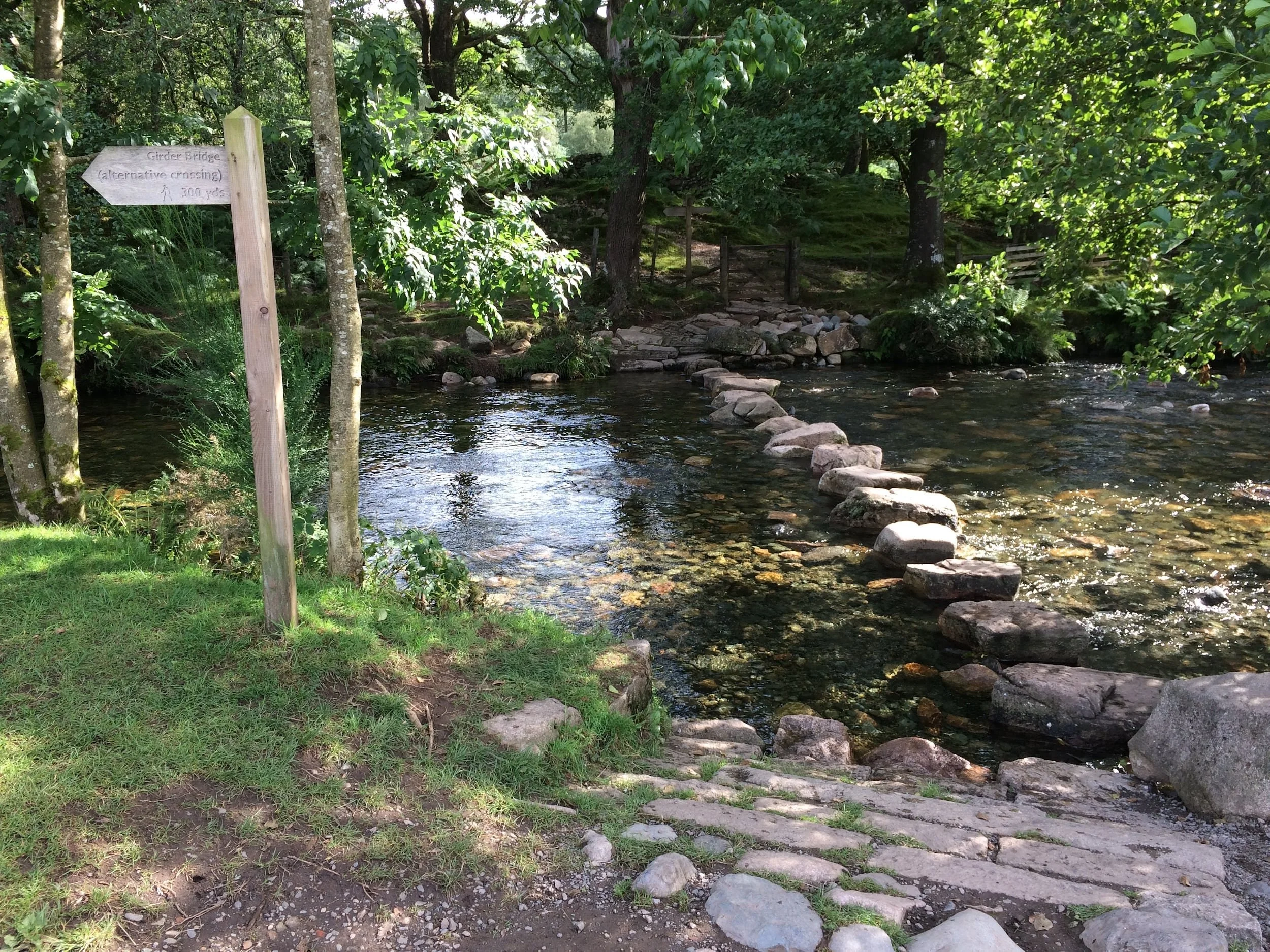 IBP-Methode veranschaulicht mit Naturbild