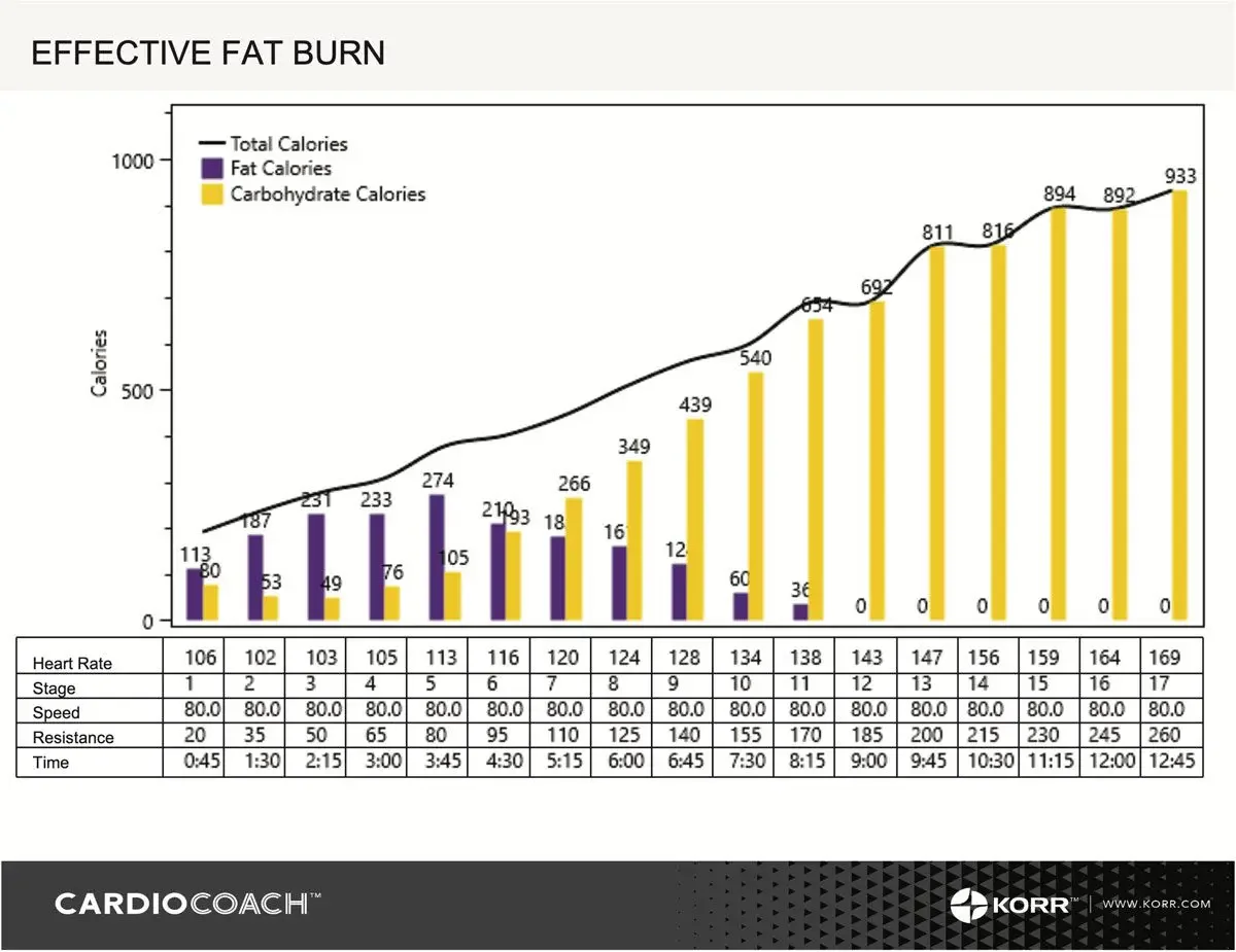 Graph titled 'Effective Fat Burn' showing a black line for total calories, purple bars for fat calories, and yellow bars for carbohydrate calories during exercise stages from 1 to 17, with detailed heart rate, speed, resistance, and time data in a table below.