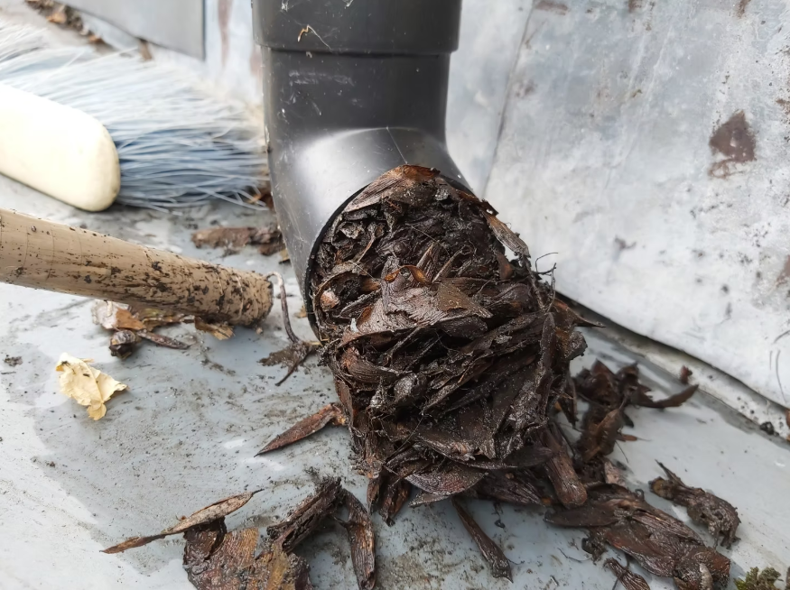 Property Maintenance