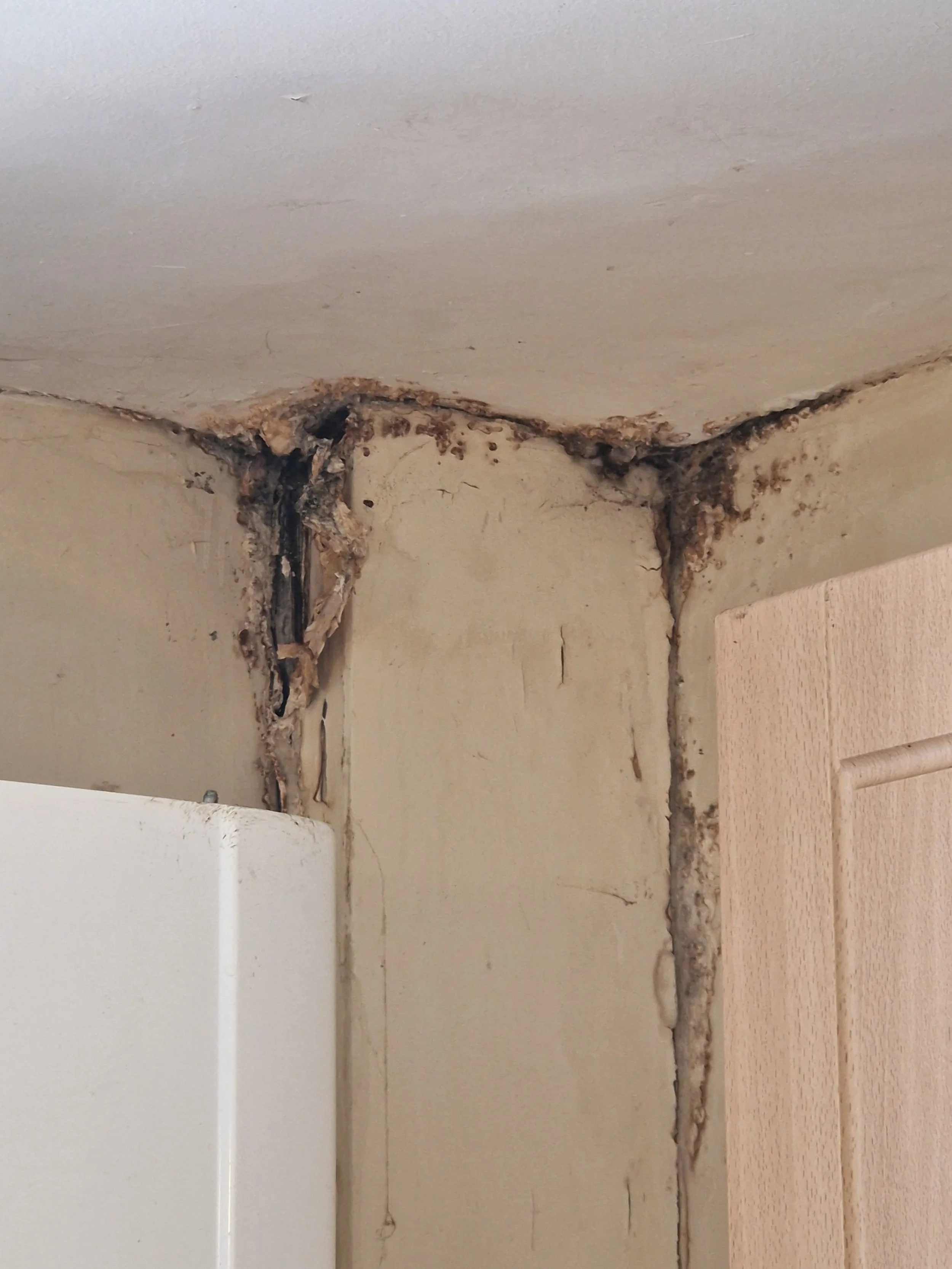 2025-03-03 UIL Pipe Cladding In Portland - 2.jpg