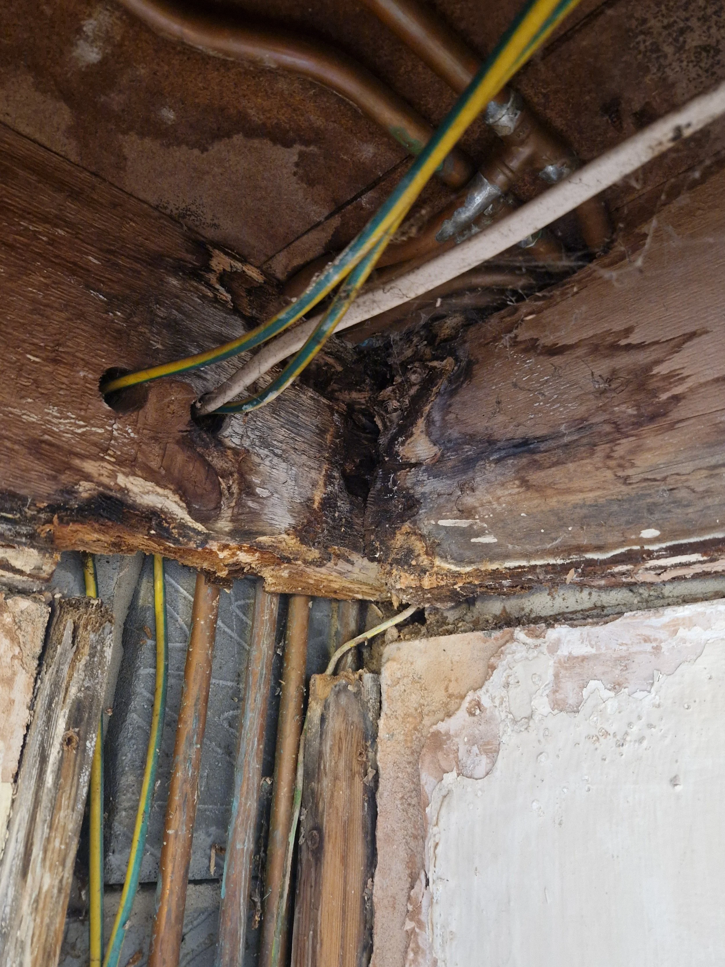 2025-03-03 UIL Pipe Cladding In Portland - 3.jpg