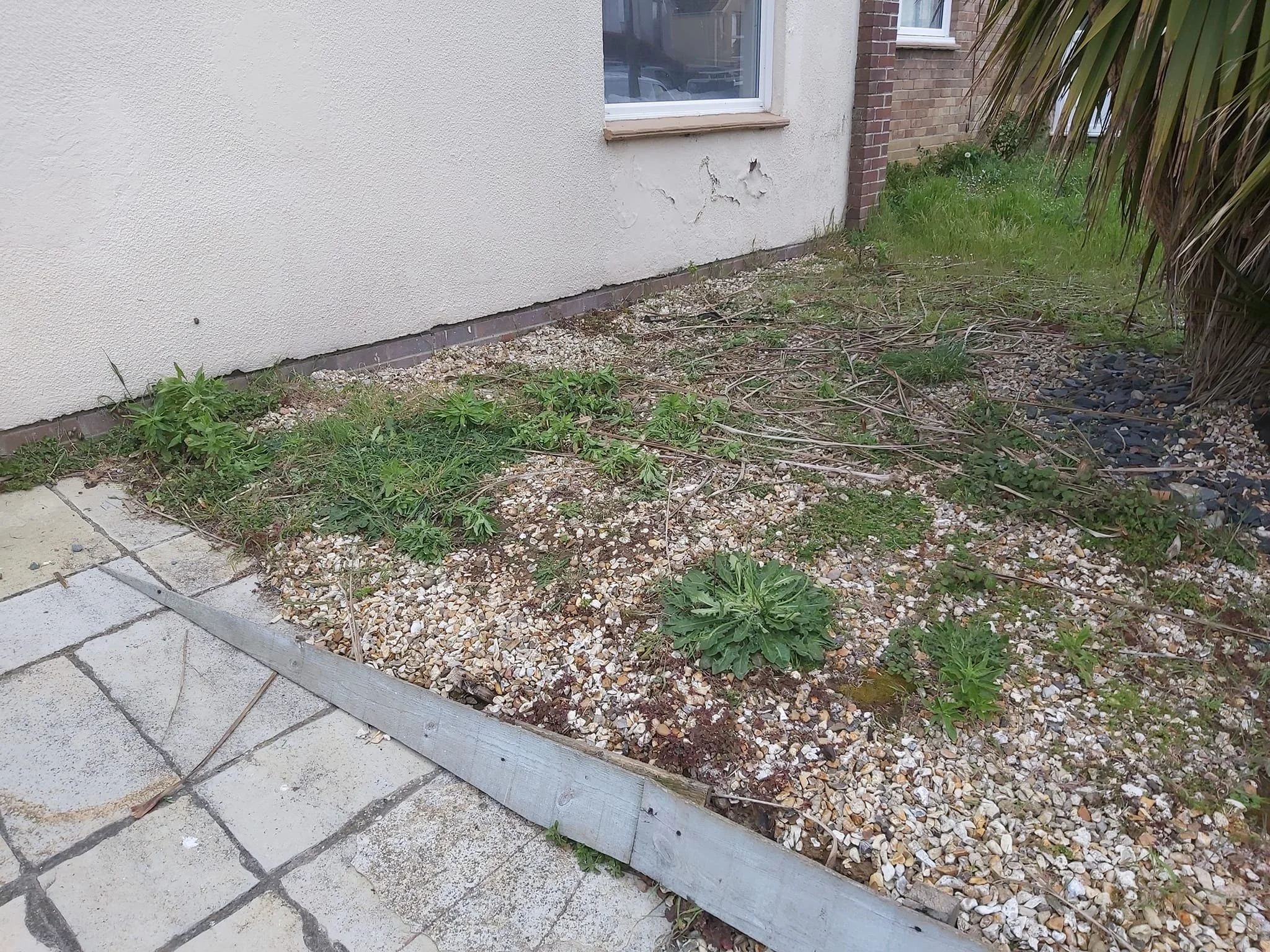 Upcycle Interiors UIL Weymouth_Waste Removal Rubbish_008.jpg