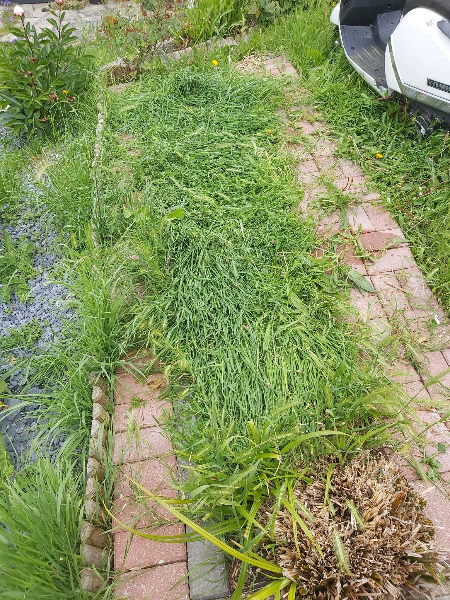 Upcycle Interiors UIL Weymouth_Waste Removal Rubbish_015.jpg