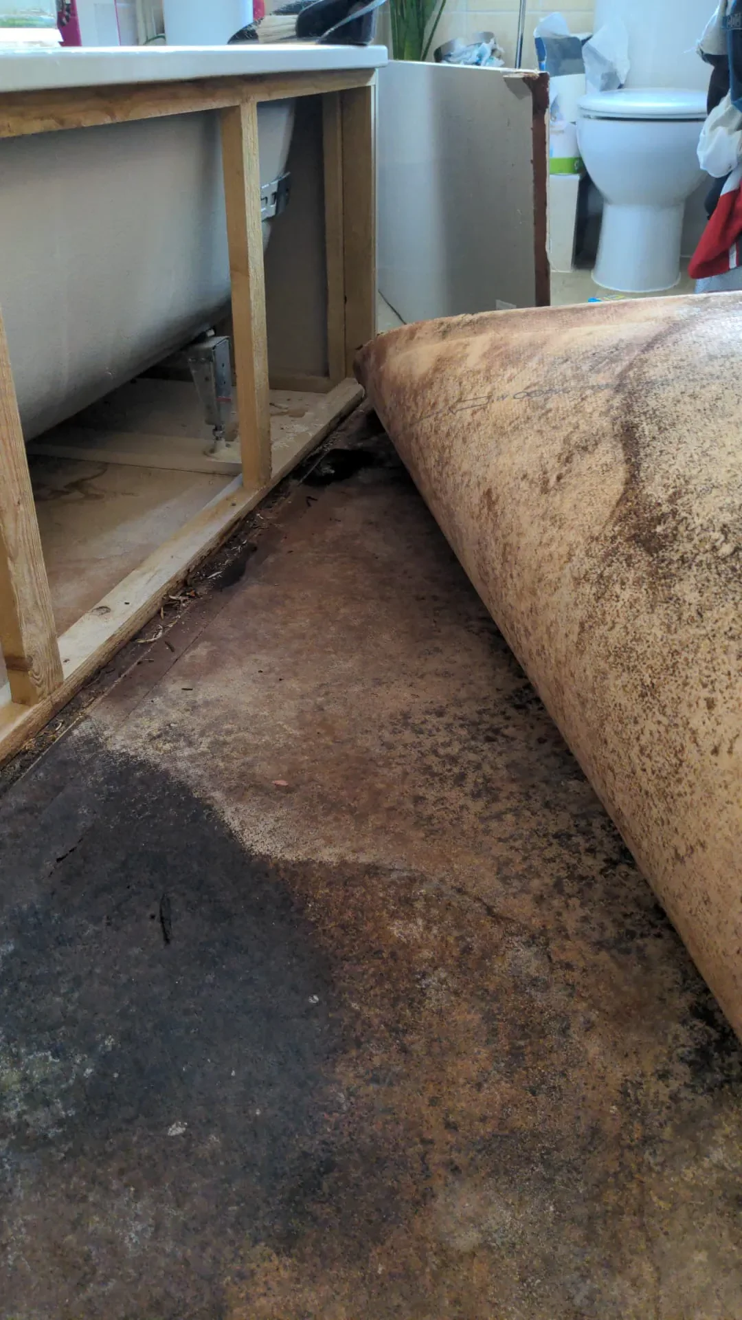 2026-03-06 Plan Your Renovation Schedule _ 10.webp