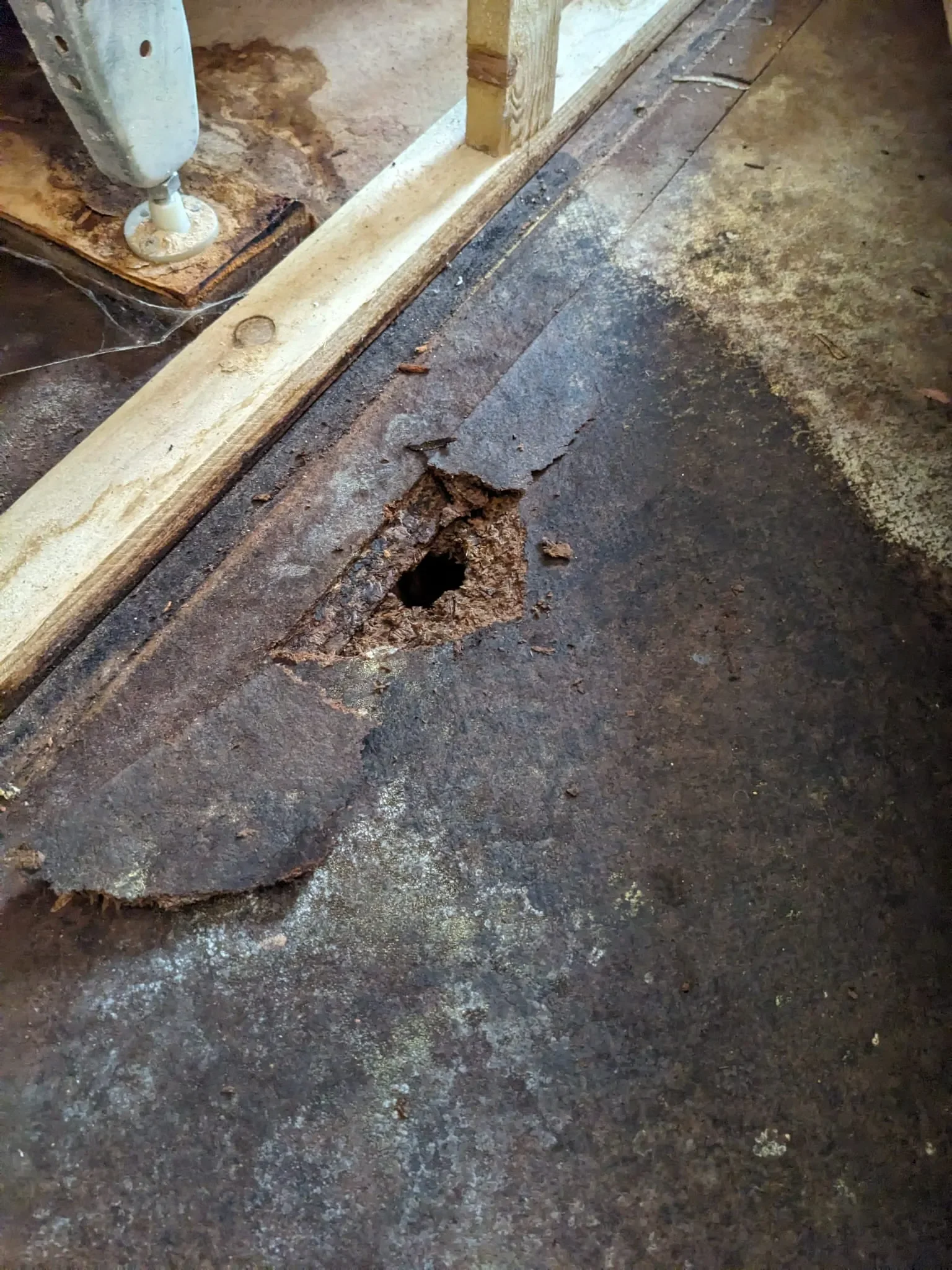 2026-03-06 Plan Your Renovation Schedule _ 11.webp