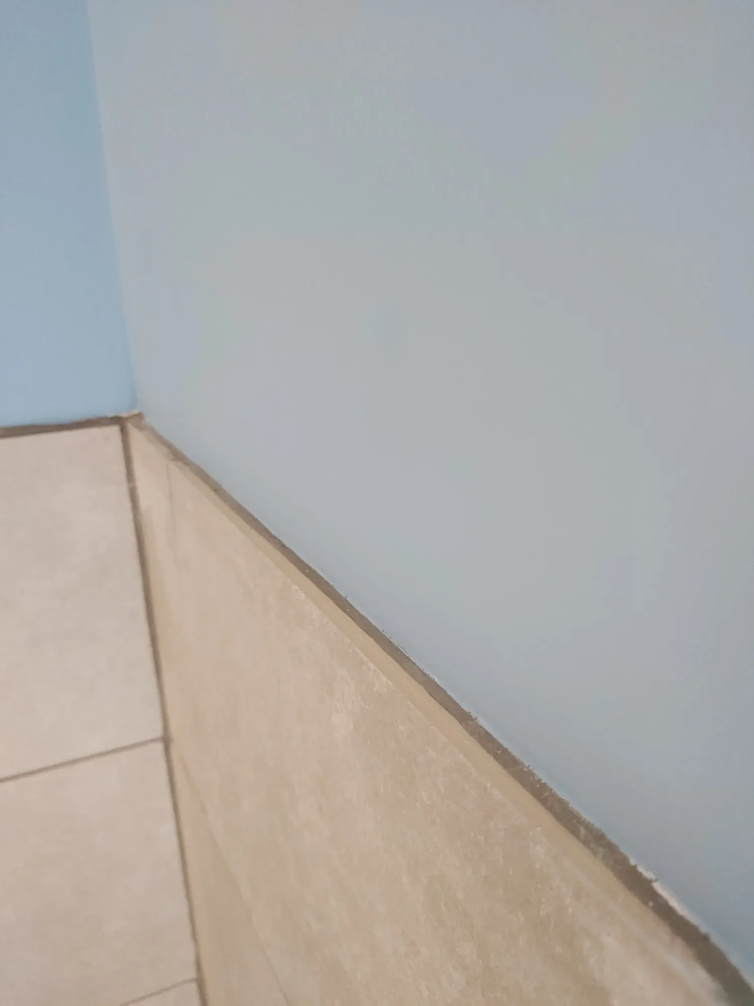 2024-12-02 Cloakroom Painting Decorating Osmington_09.webp