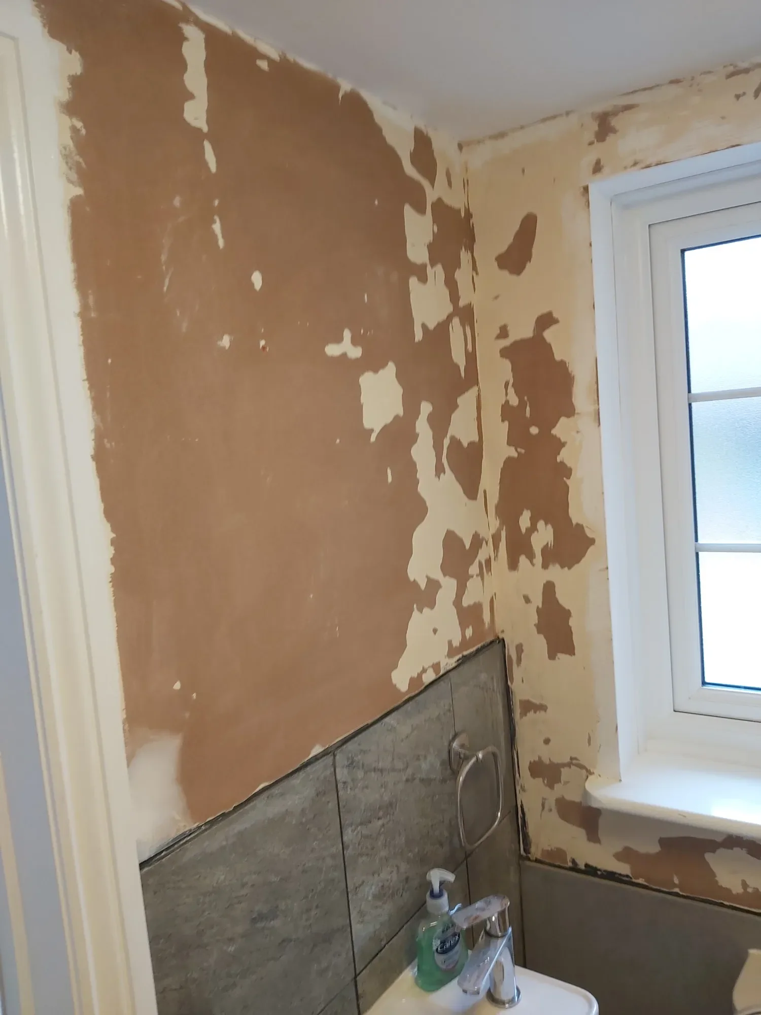 2024-12-02 Cloakroom Painting Decorating Osmington_19.webp