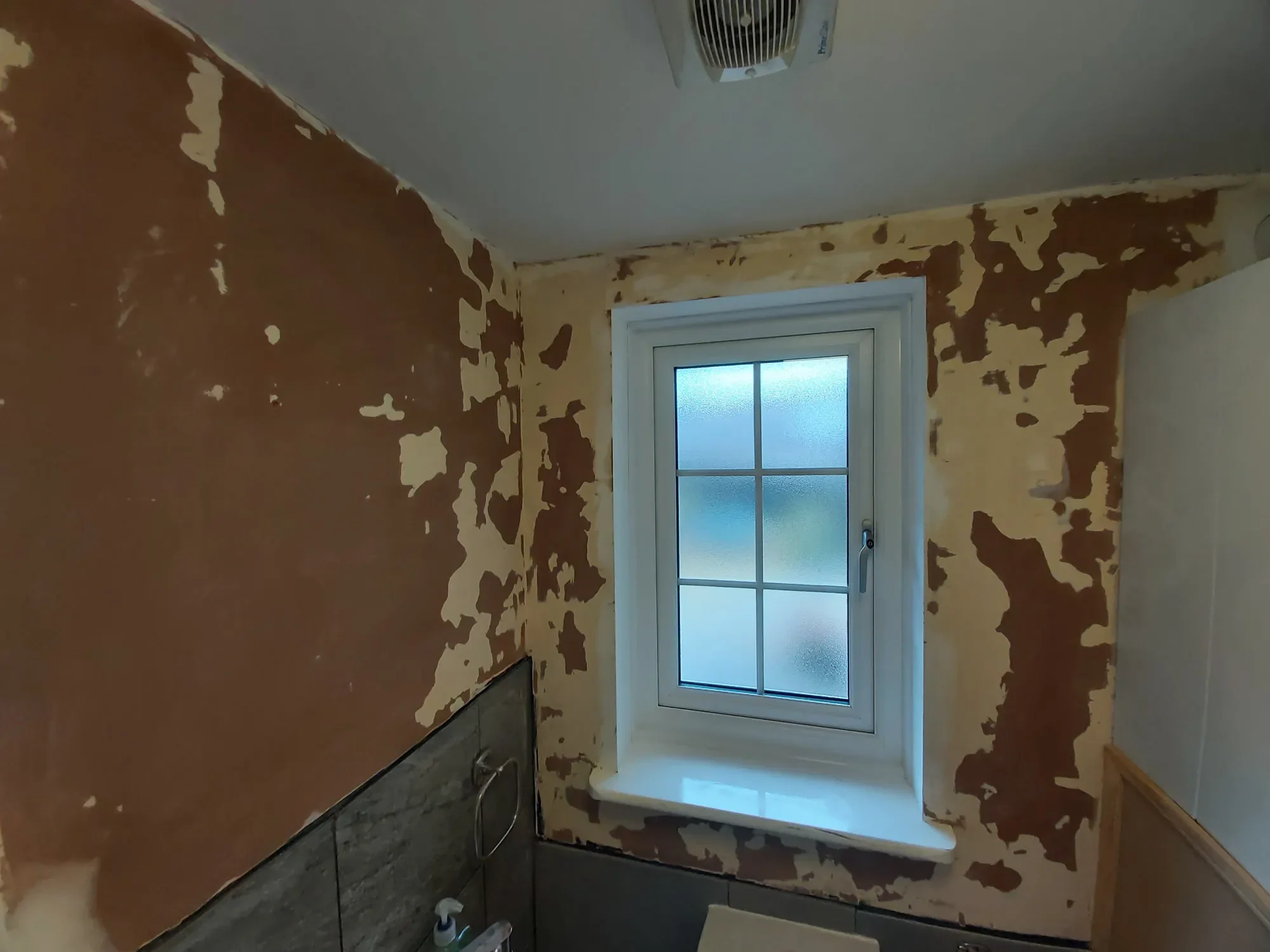 2024-12-02 Cloakroom Painting Decorating Osmington_20.webp