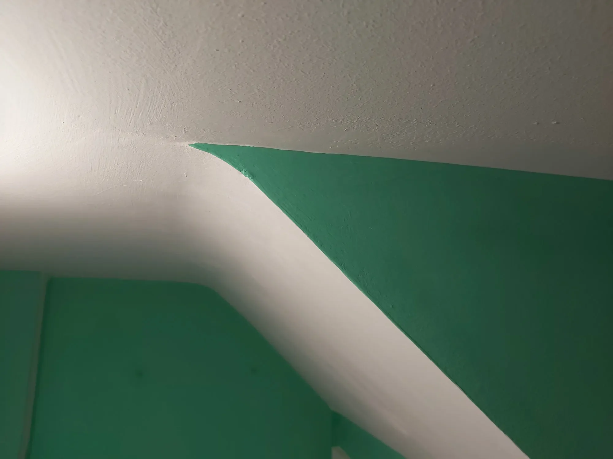 2024-12-02 Cloakroom Painting Decorating Osmington_26.webp