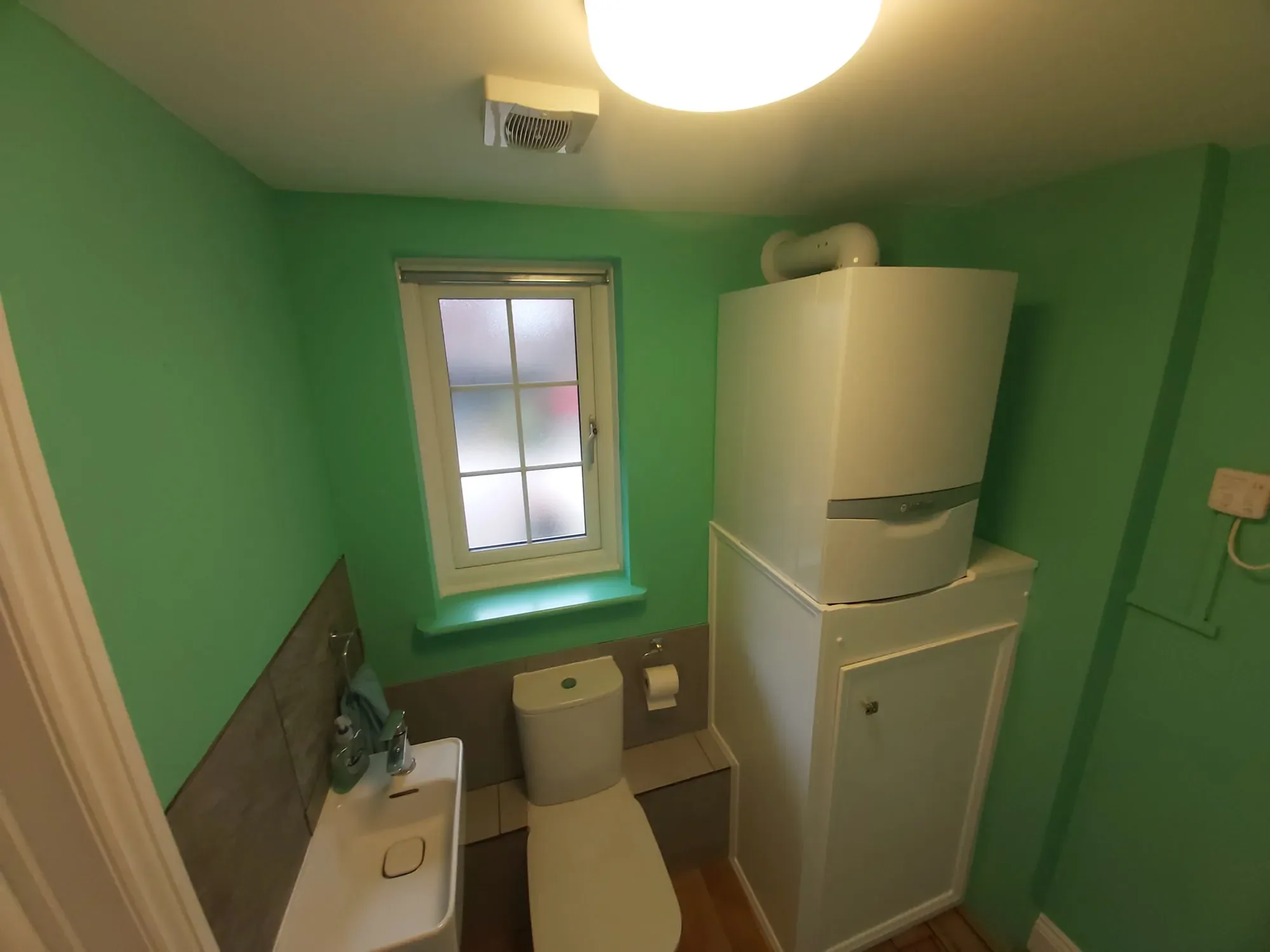 2024-12-02 Cloakroom Painting Decorating Osmington_32.webp