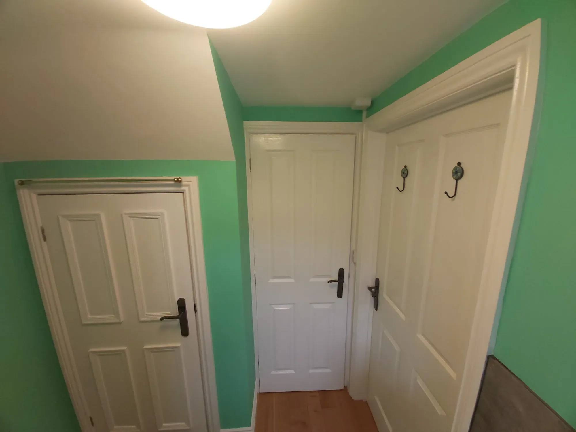 2024-12-02 Cloakroom Painting Decorating Osmington_33.webp
