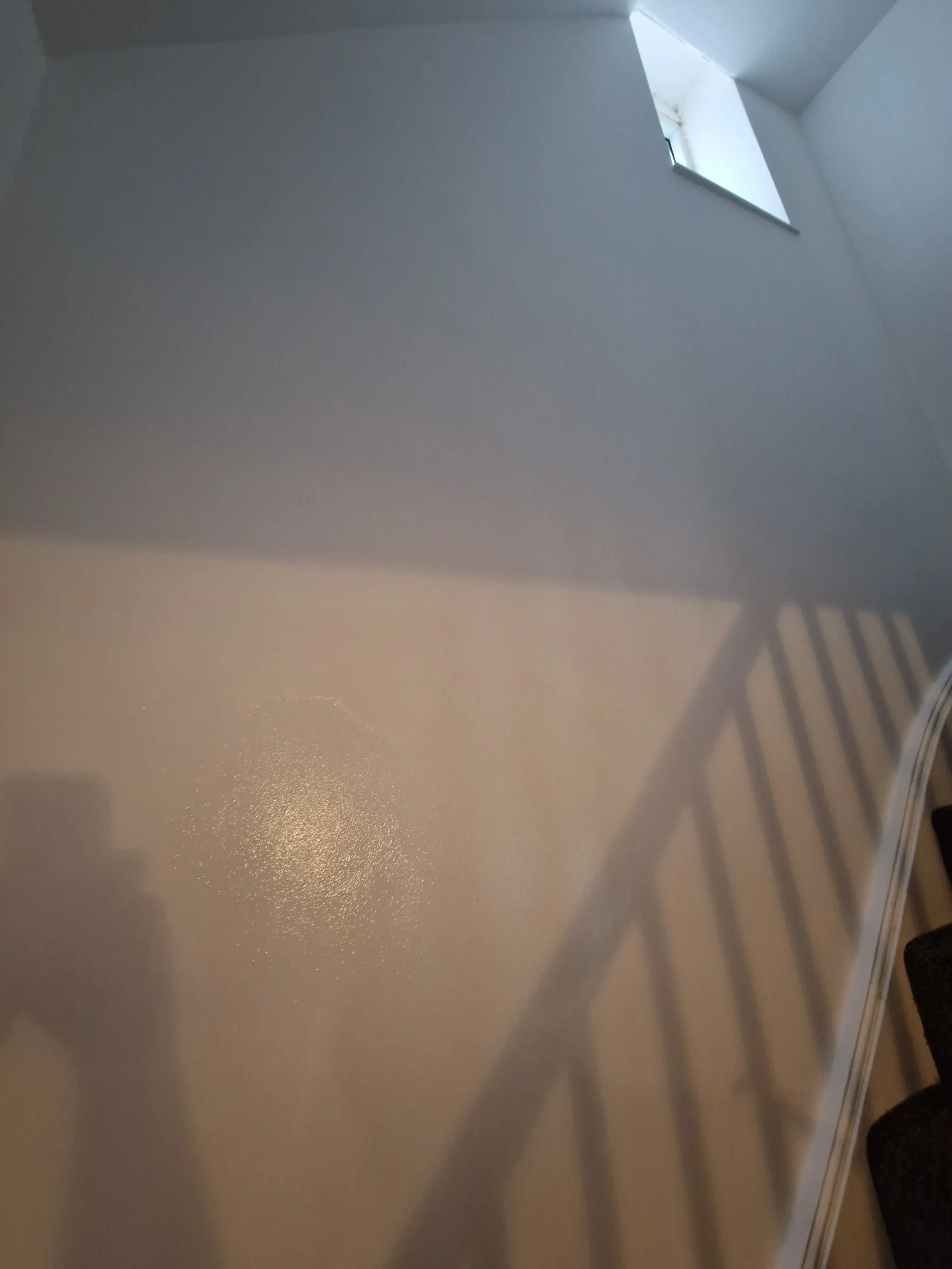 2026-04-09 Paint Finishing Property Maintenance_17.webp