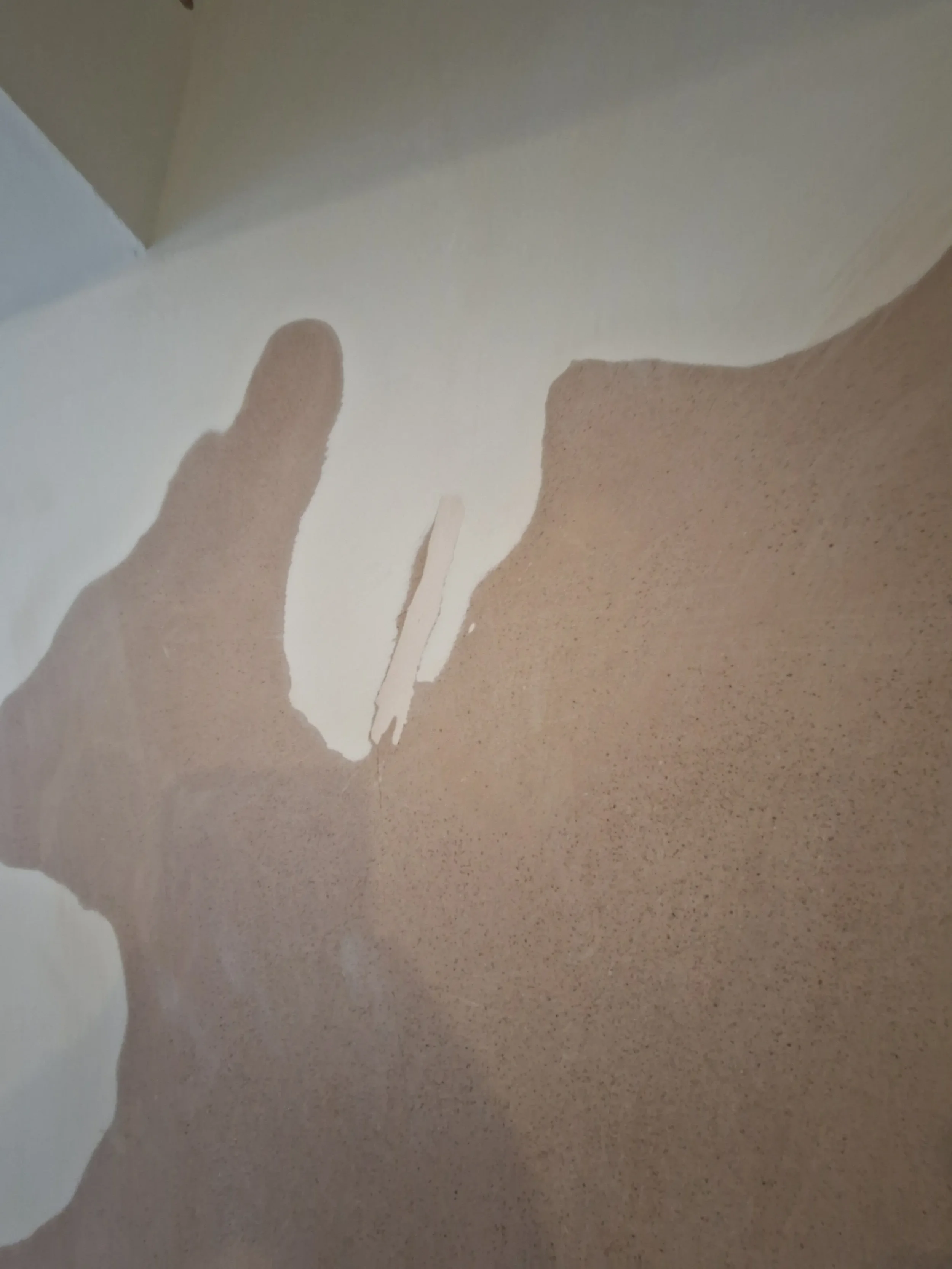 2026-04-09 Paint Finishing Property Maintenance_09.webp