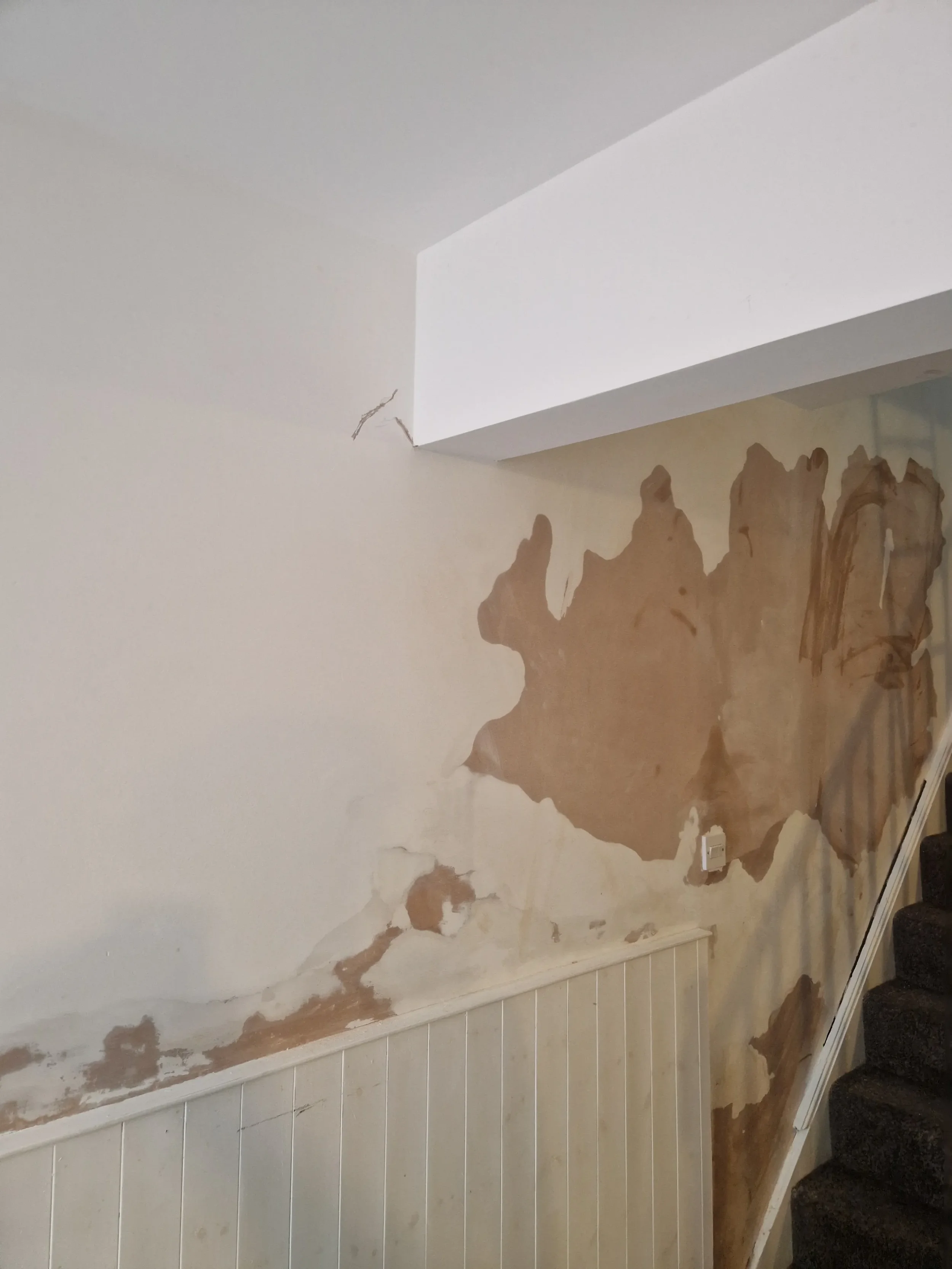 2026-04-09 Paint Finishing Property Maintenance_01.webp