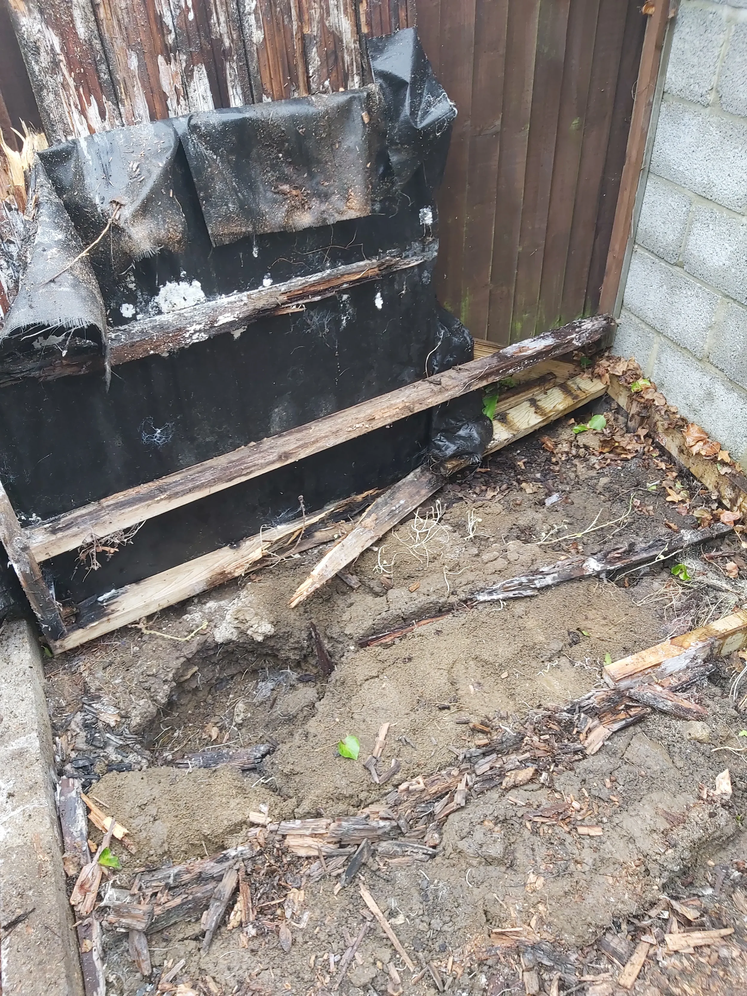 2024-10-24 Landscaping Lanehouse Property Maintenance_03.webp