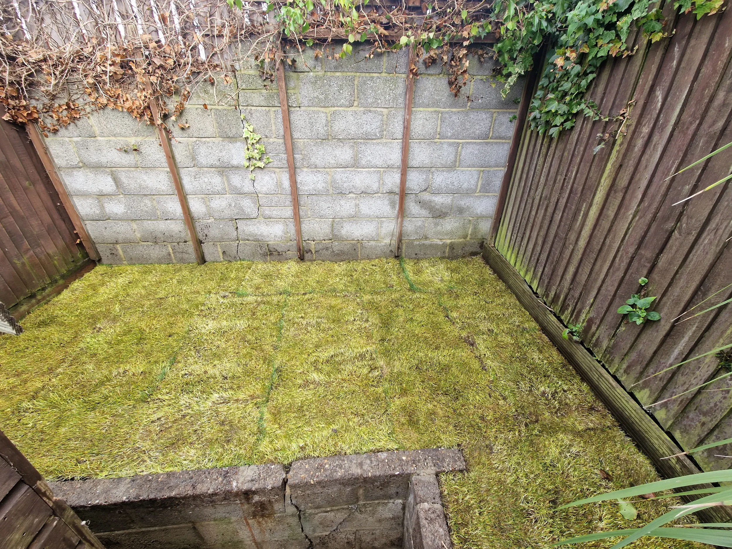 2024-10-24 Landscaping Lanehouse Property Maintenance_10.webp