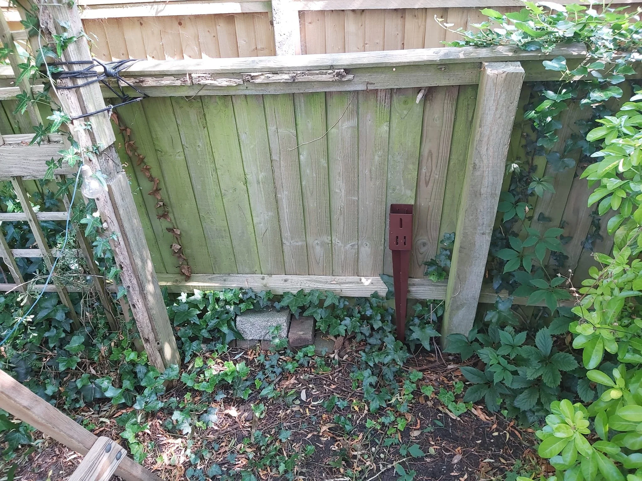 Upcycle Interiors Ltd UIL_Weymouth Landscaping_044.jpg