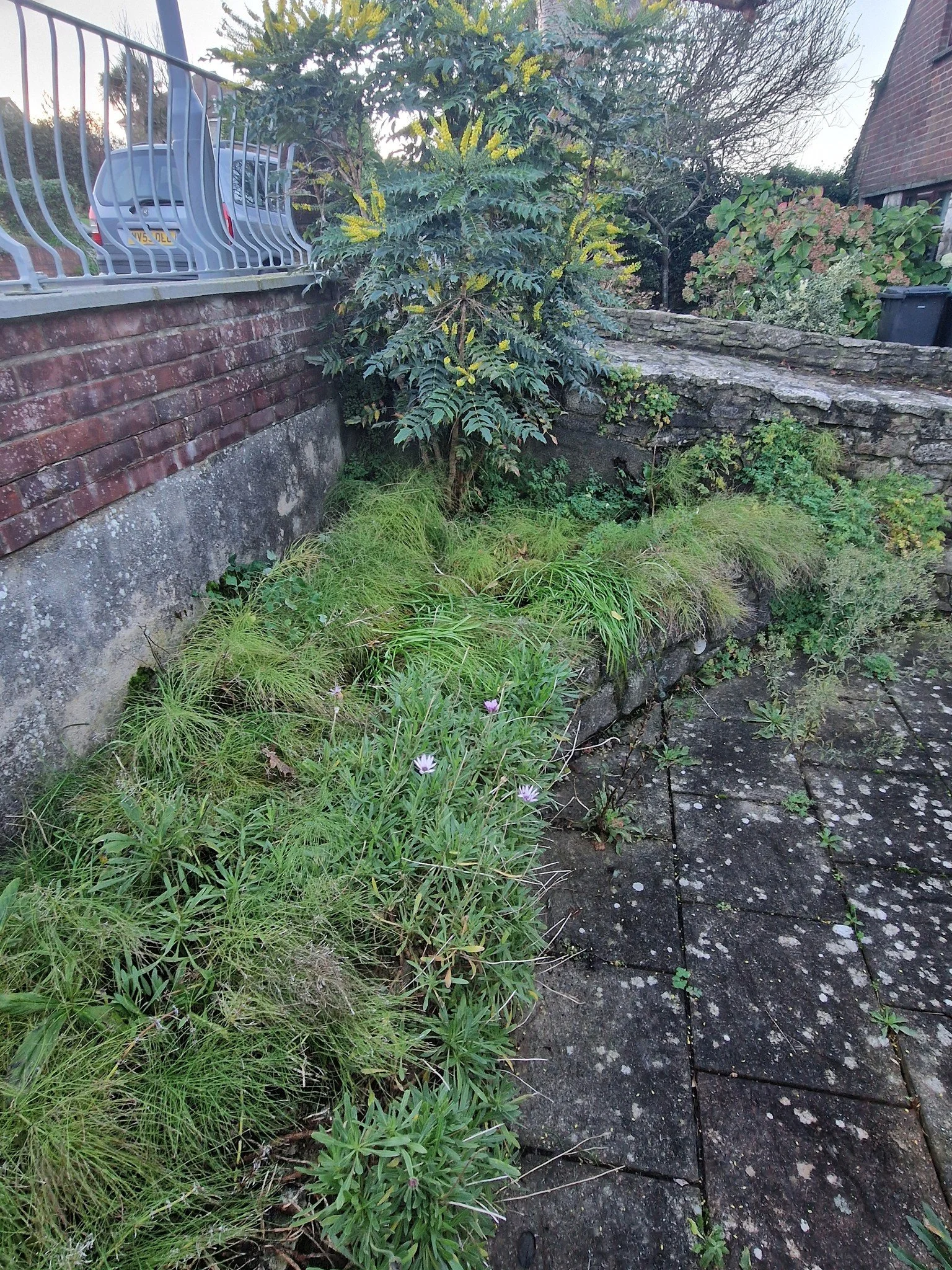 Upcycle Interiors Ltd UIL_Weymouth Landscaping_058.jpg