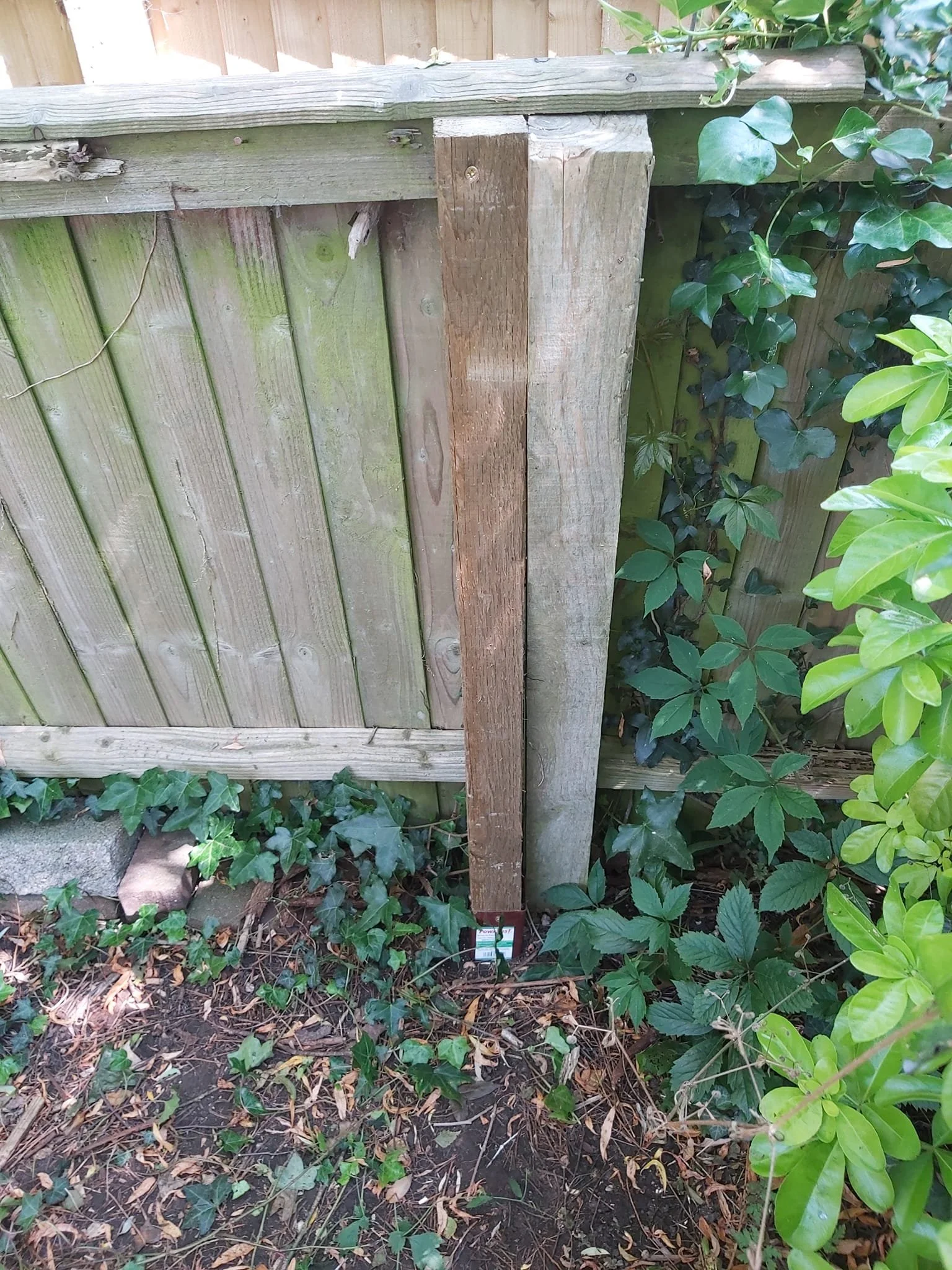 Upcycle Interiors Ltd UIL_Weymouth Landscaping_043.jpg