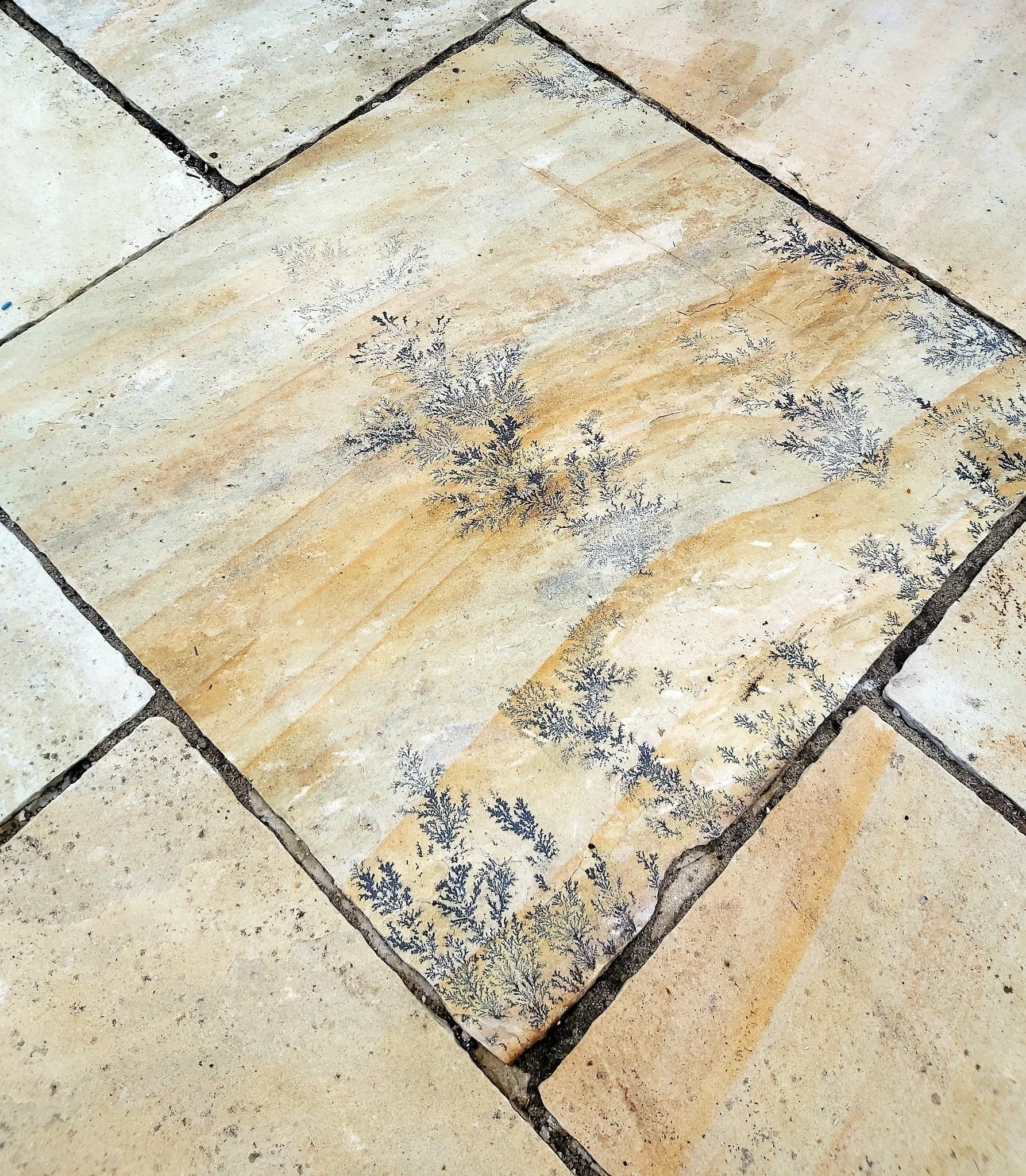 Upcycle Interiors Ltd UIL_Weymouth Landscaping_Patios_055.jpg