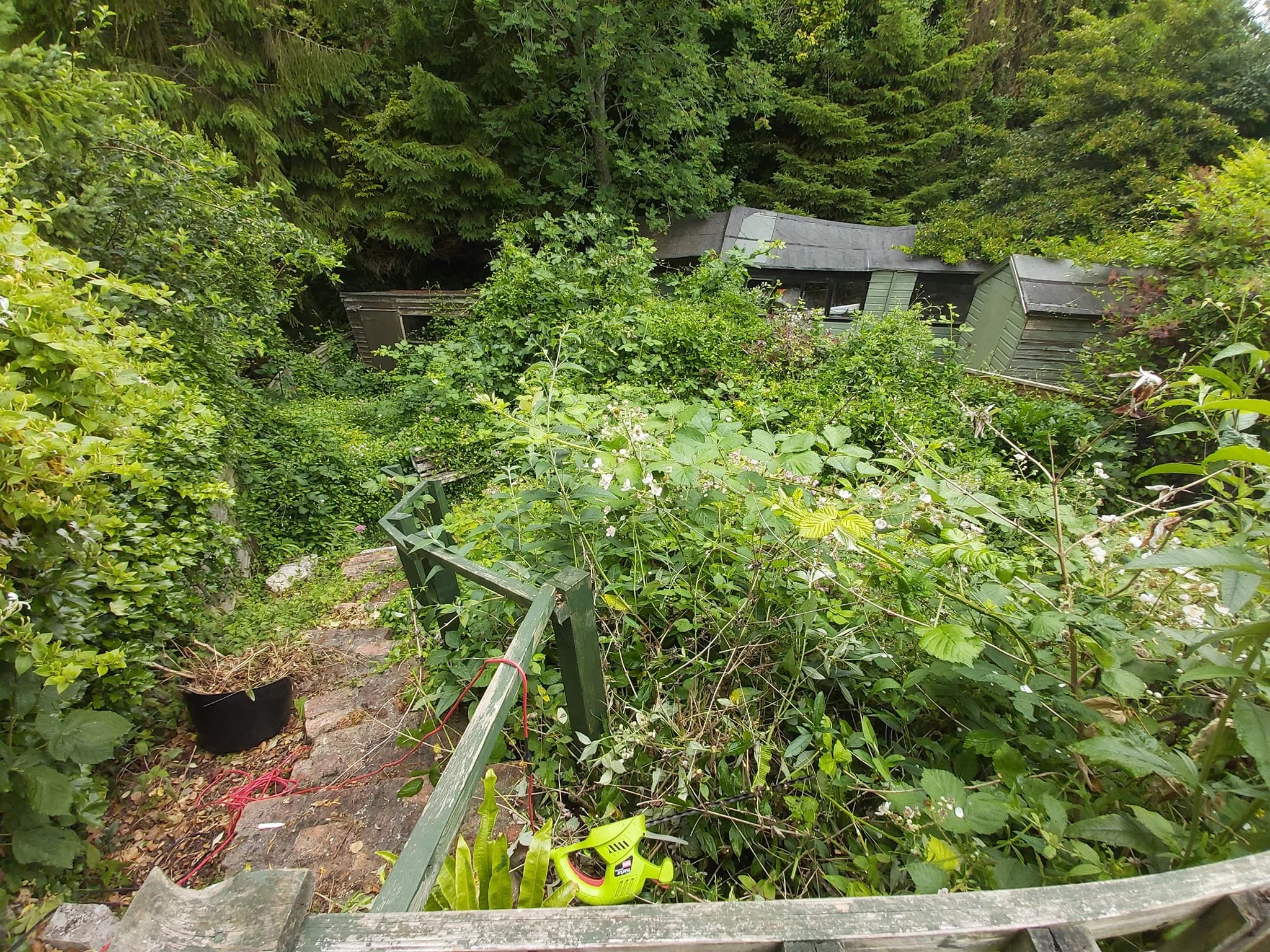 Upcycle Interiors Ltd UIL_Weymouth Landscaping_040.jpg