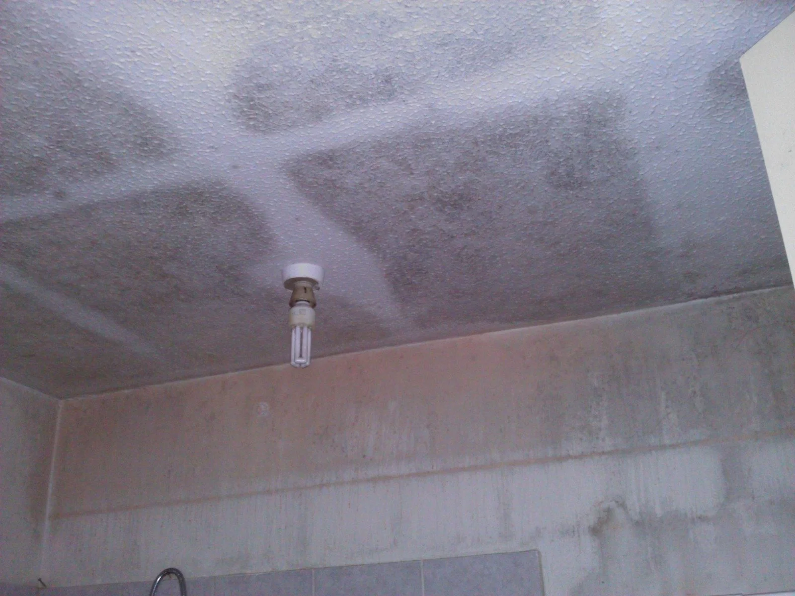 How To Tackle Mouldy Ceilings And Walls
