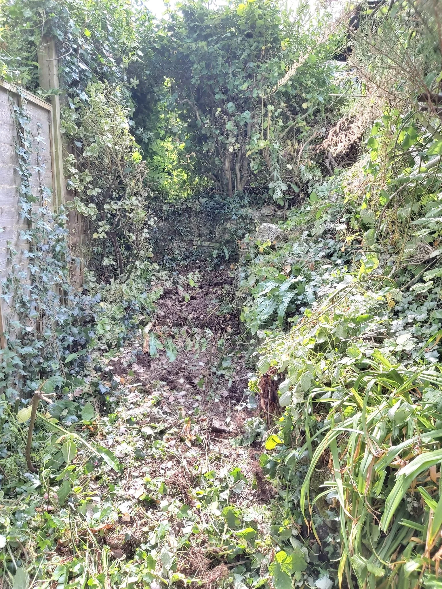 Upcycle Interiors Ltd UIL_Weymouth Landscaping_037.jpg