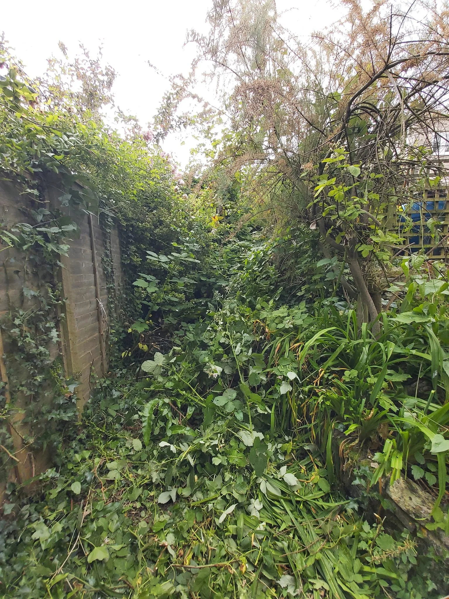 Upcycle Interiors Ltd UIL_Weymouth Landscaping_041.jpg