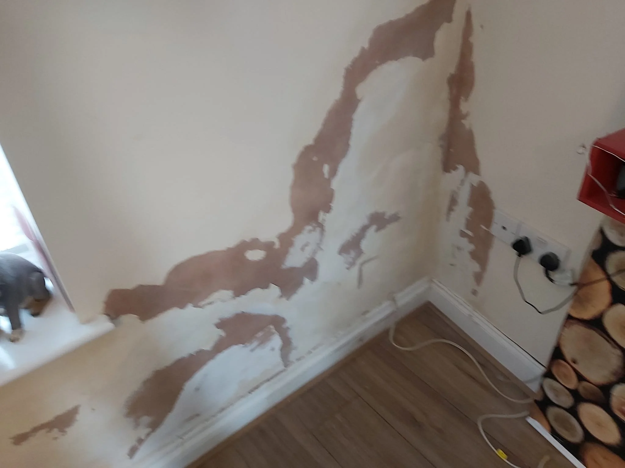 Upcycle Interiors Ltd UIL_Weymouth Finishers_Painting_045.jpg