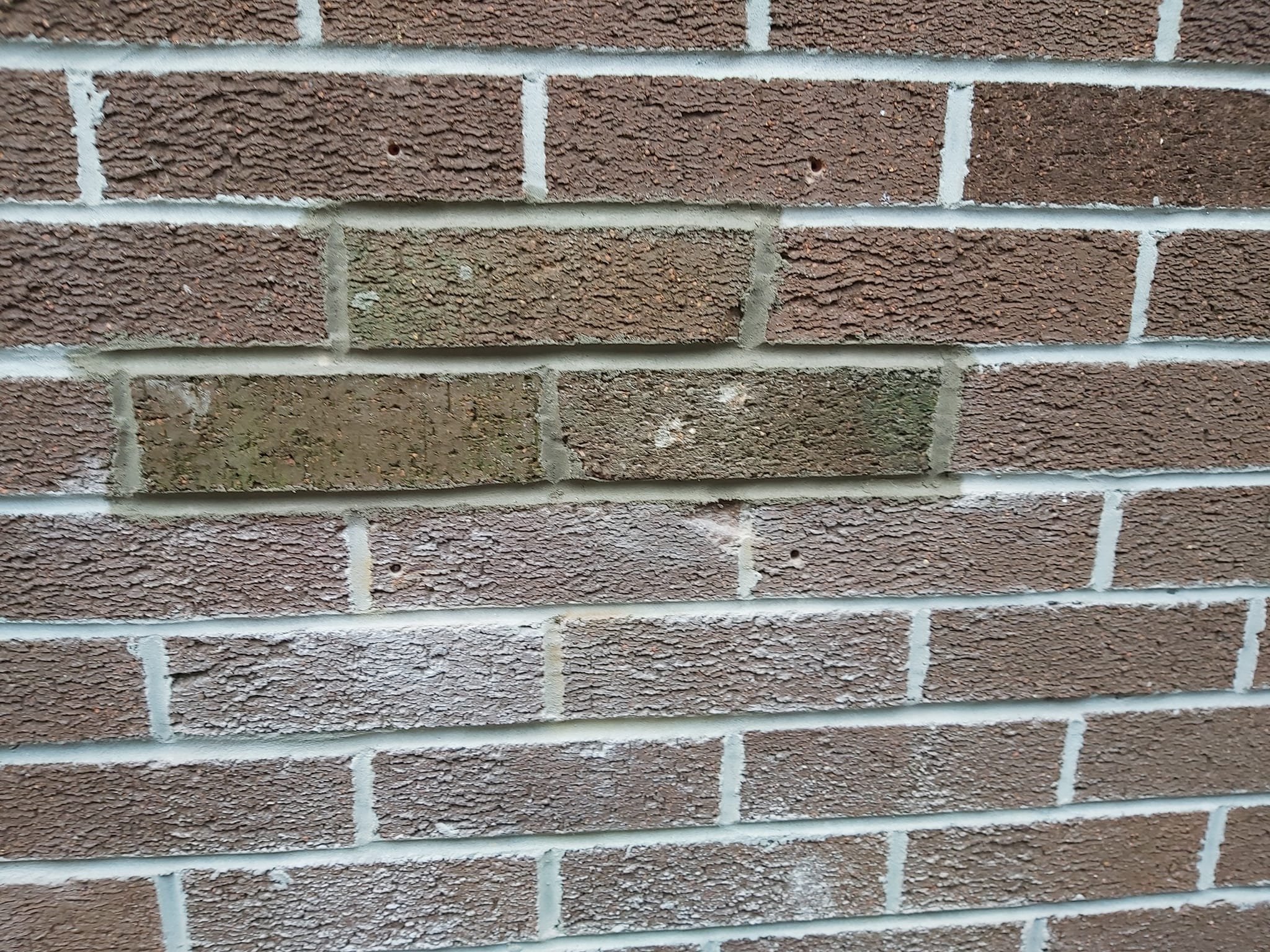 Close-up of a brick wall with some dirt and moss on the bricks.