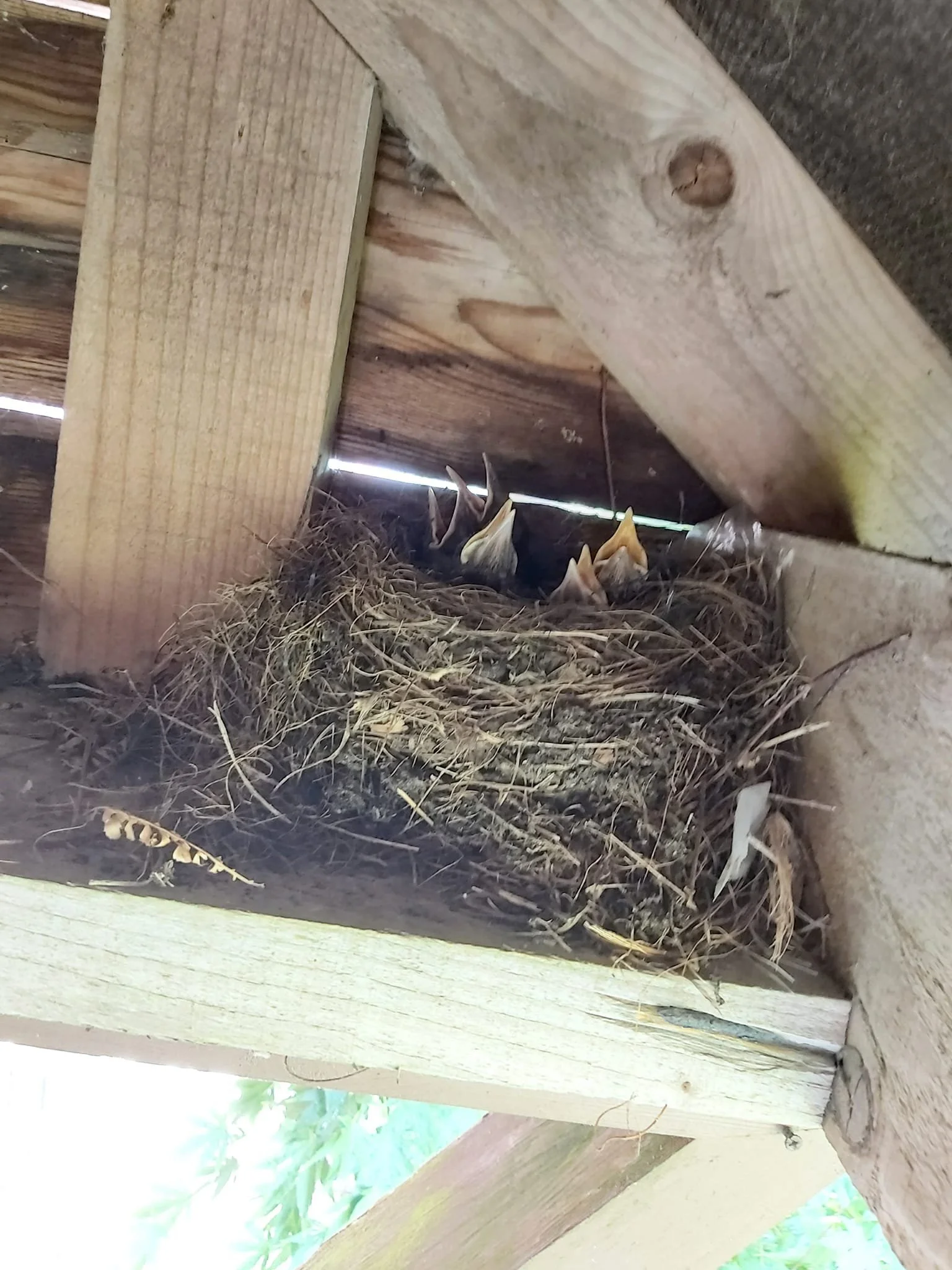 Upcycle Interiors UIL Weymouth_General Building_084.jpg