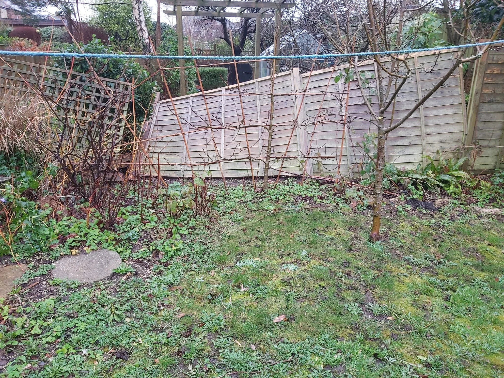 Upcycle Interiors Ltd UIL_Weymouth Landscaping_048.jpg