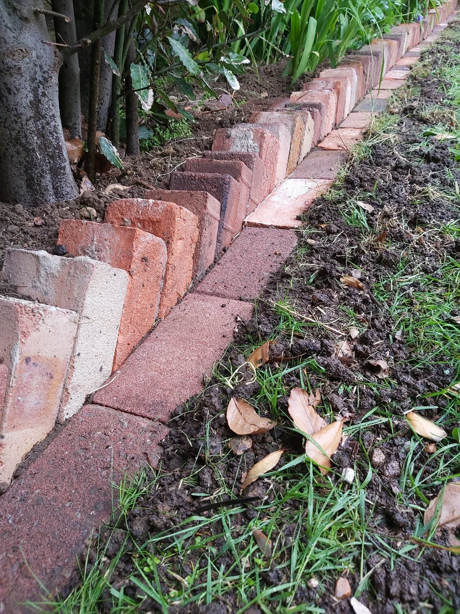 Upcycle Interiors Ltd UIL_Weymouth Landscaping_051.jpg